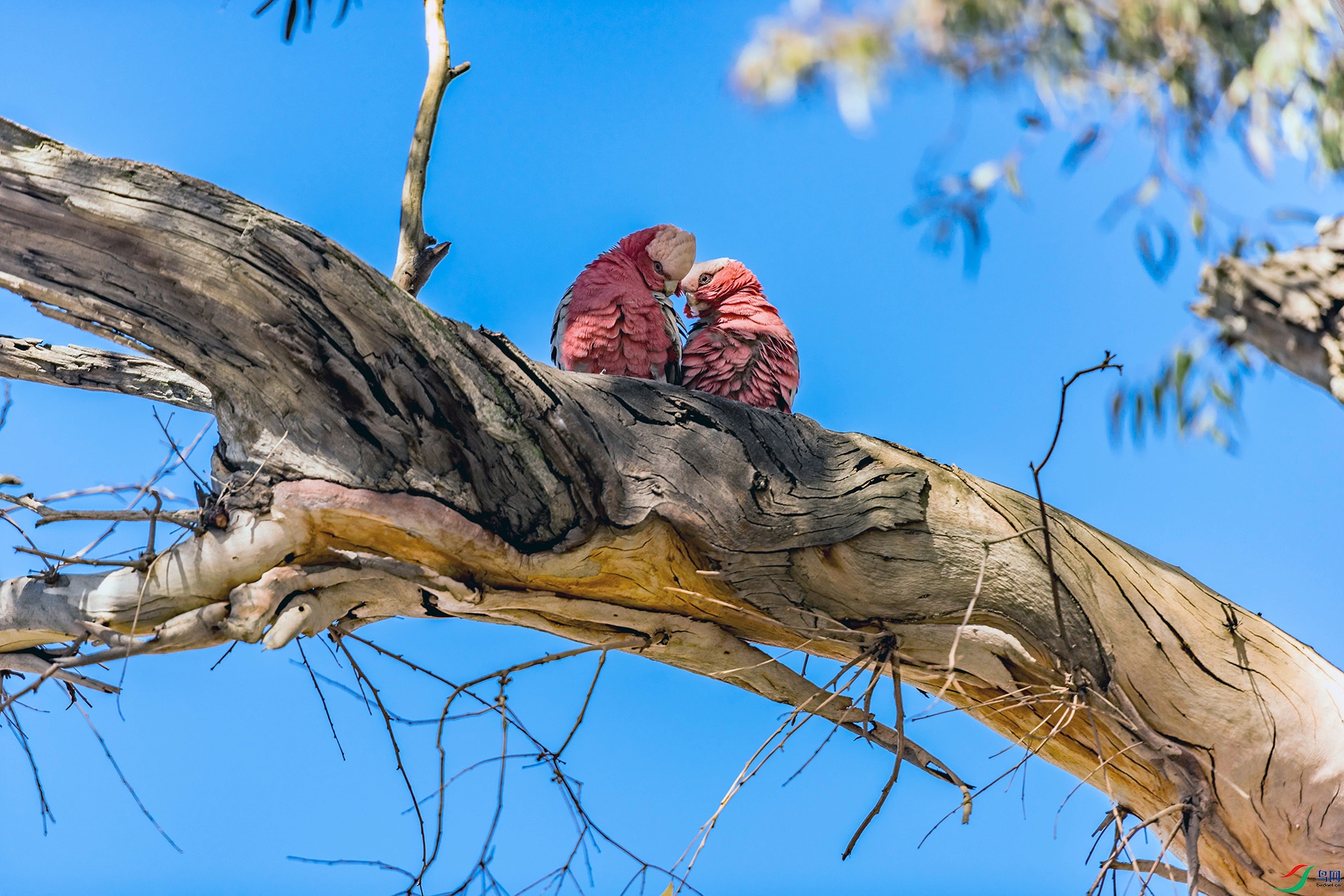 DSC_4087.jpg