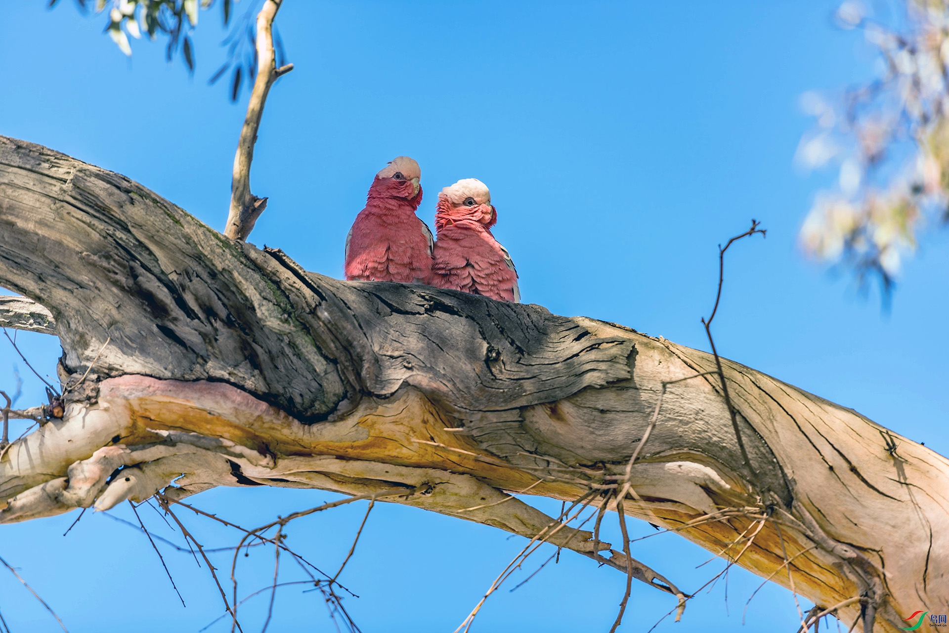 DSC_4090.jpg