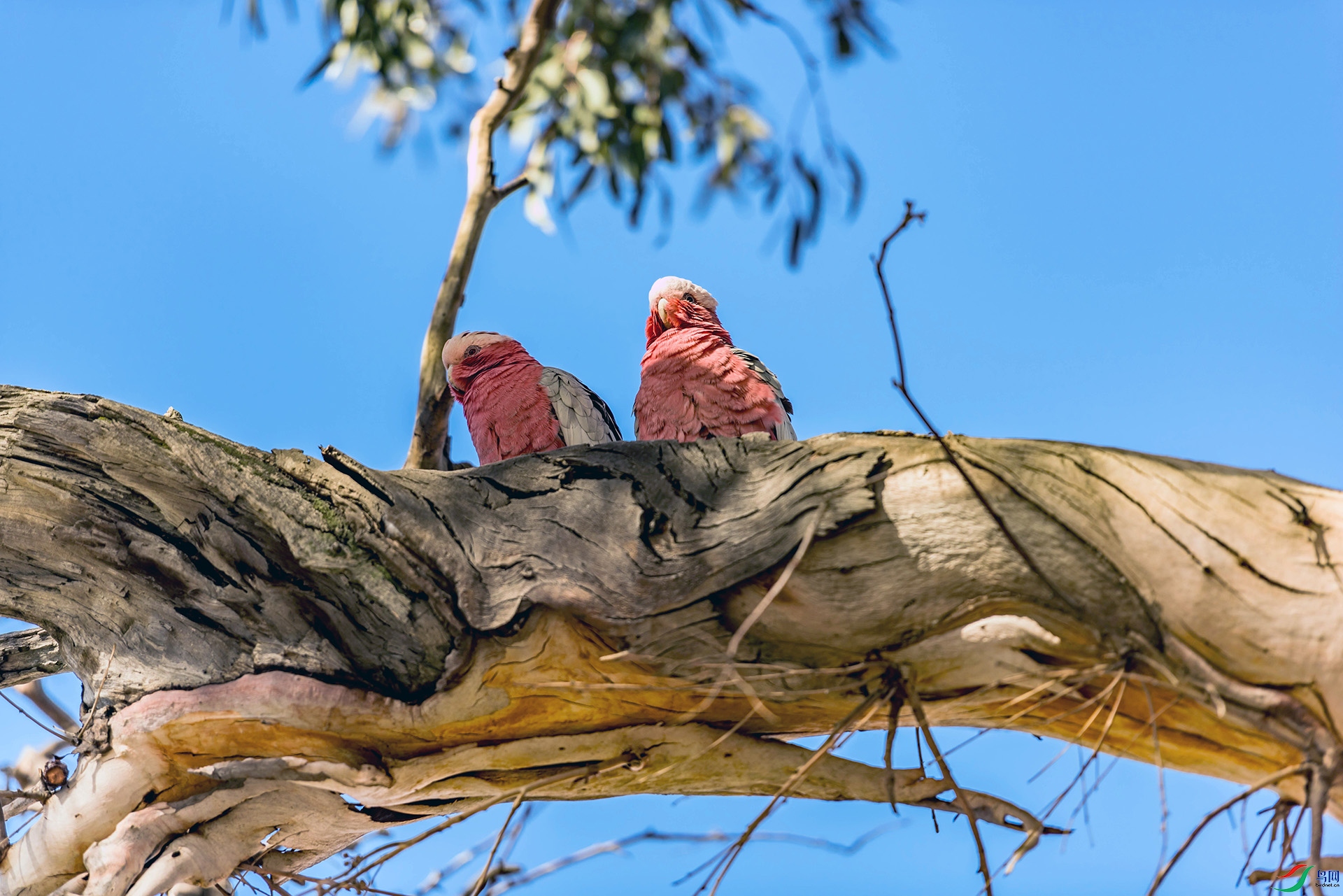 DSC_4097.jpg