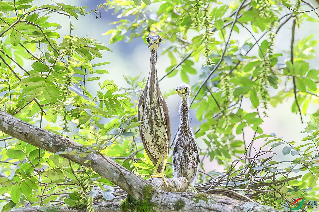 BY6P8732 ����.jpg