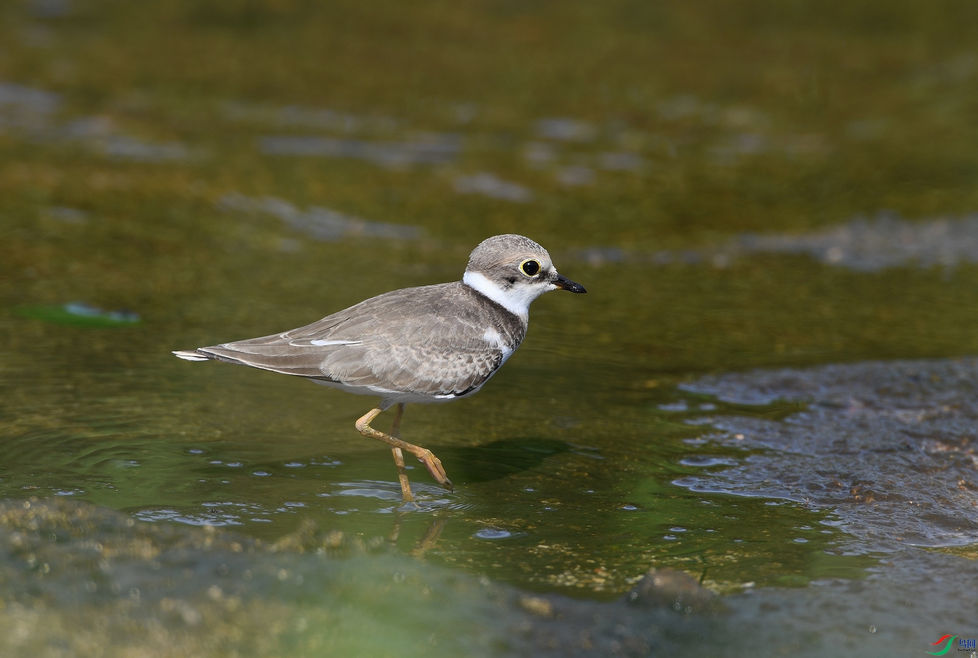 DSC_6059.jpg
