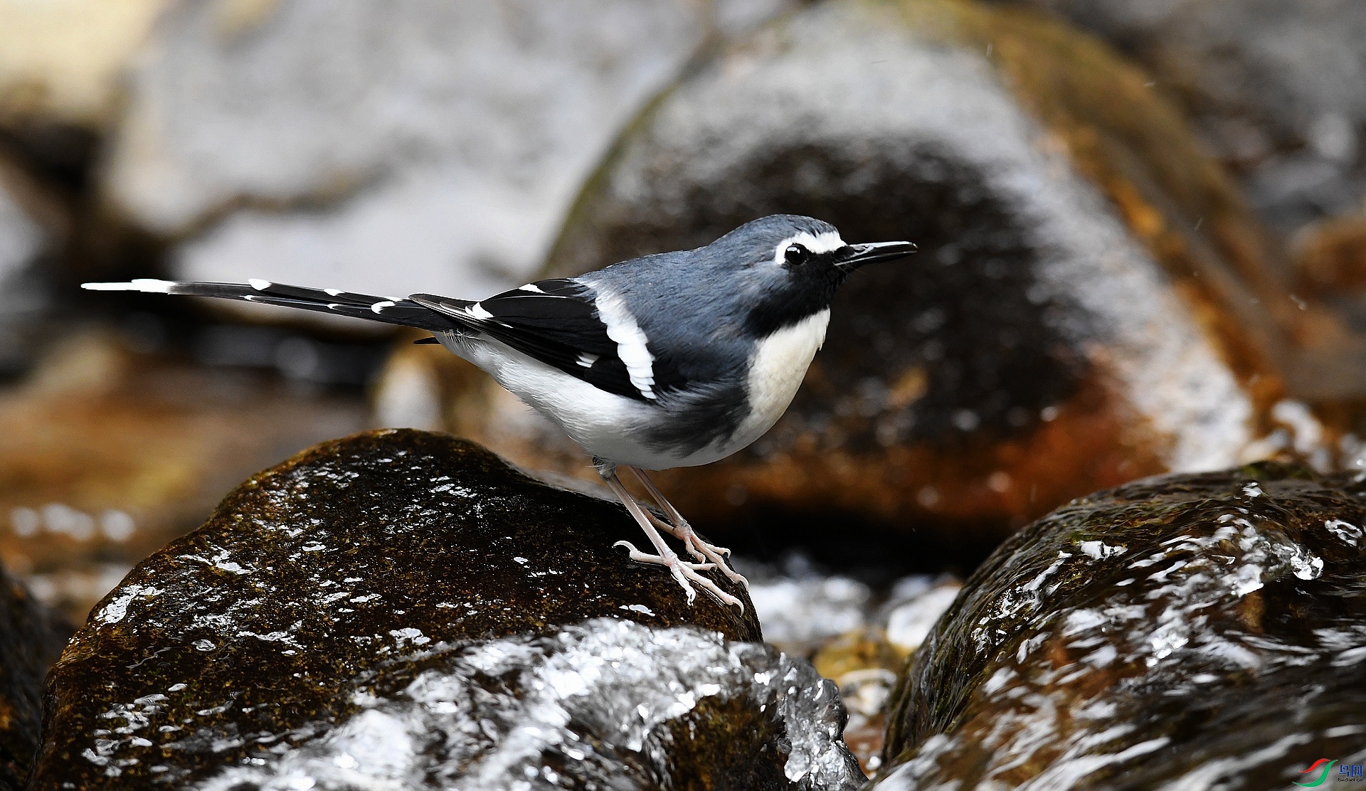 DSC_2116.jpg