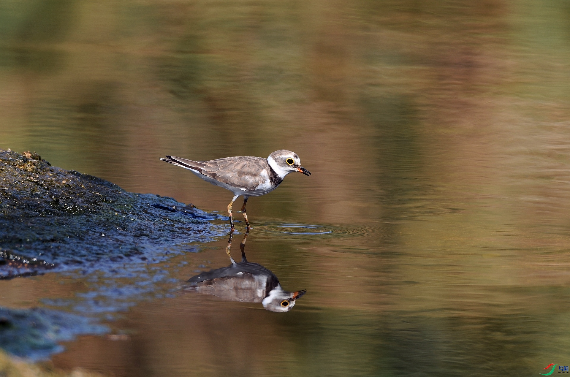 DSC_6246.jpg
