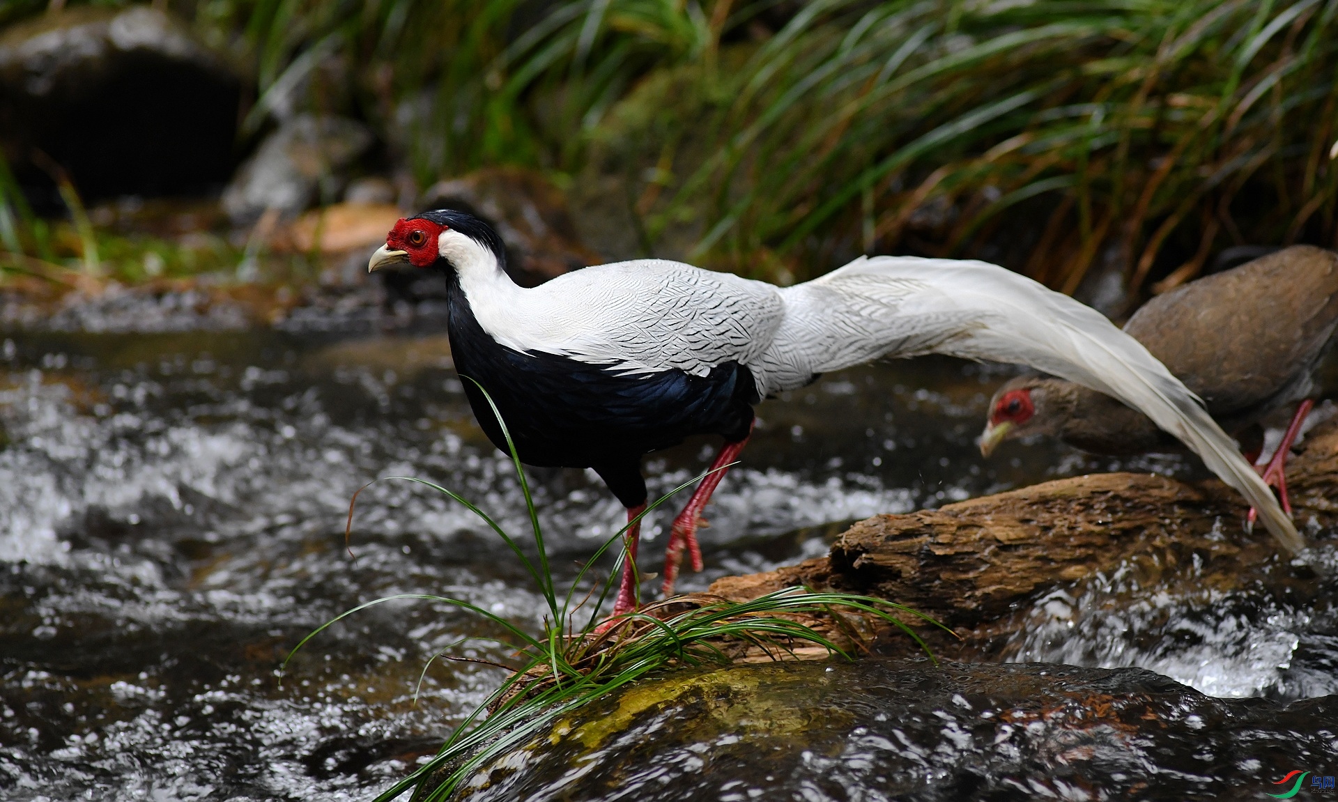 DSC_0875.jpg
