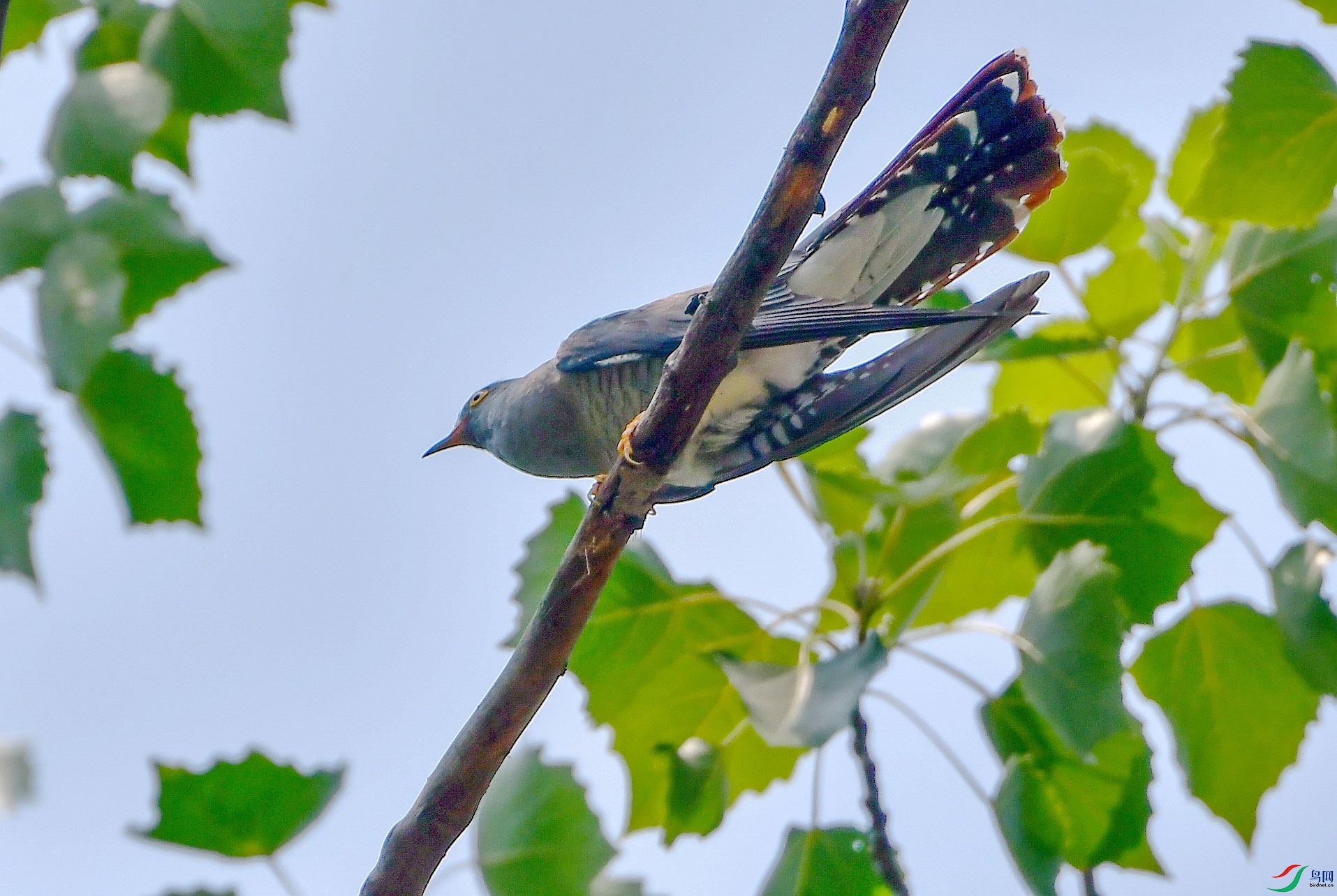 DSC_5821.jpg