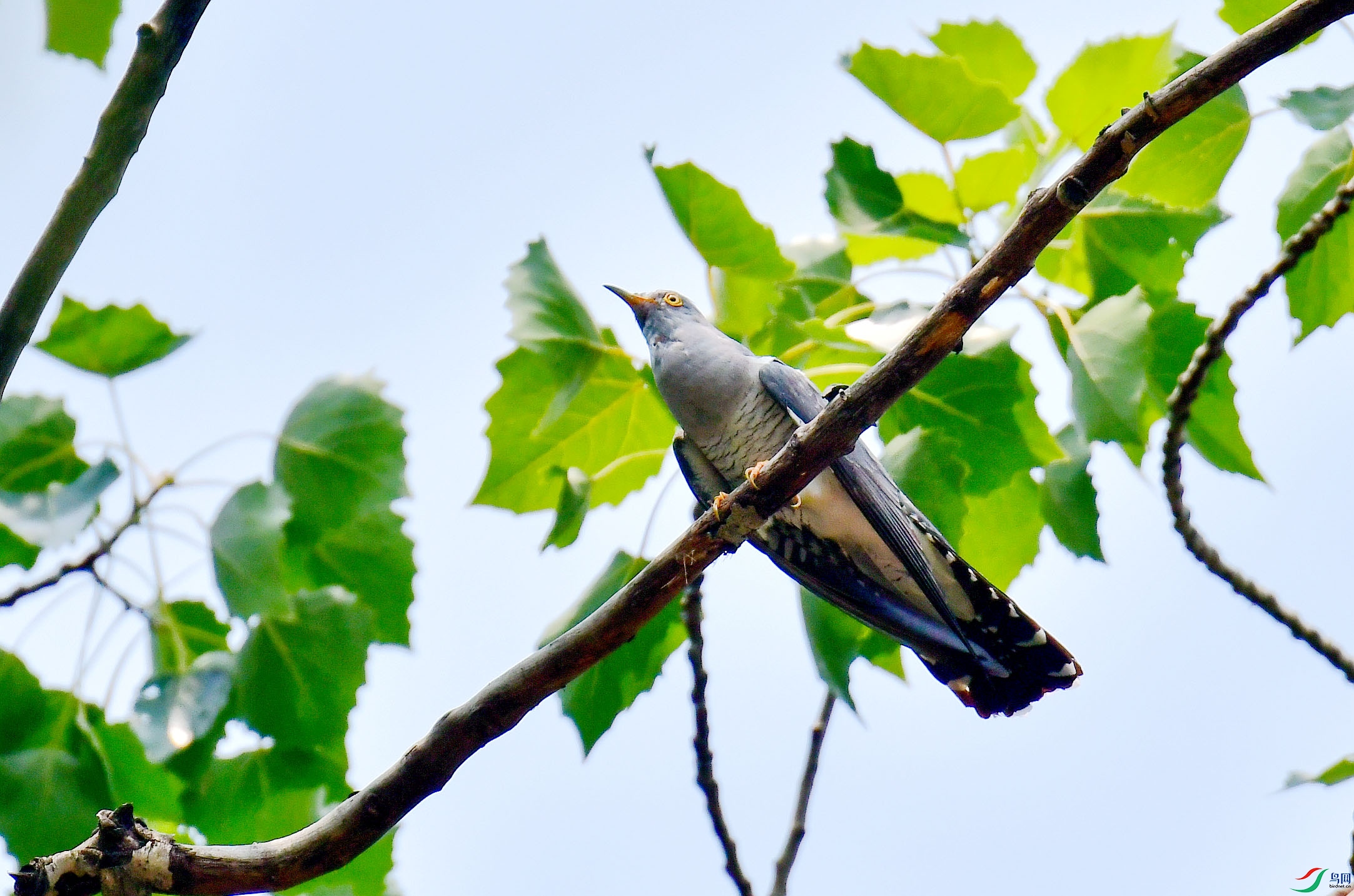 DSC_5825_����.jpg