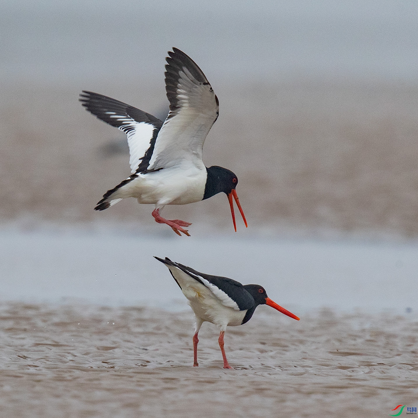 _90I9082 ����.jpg