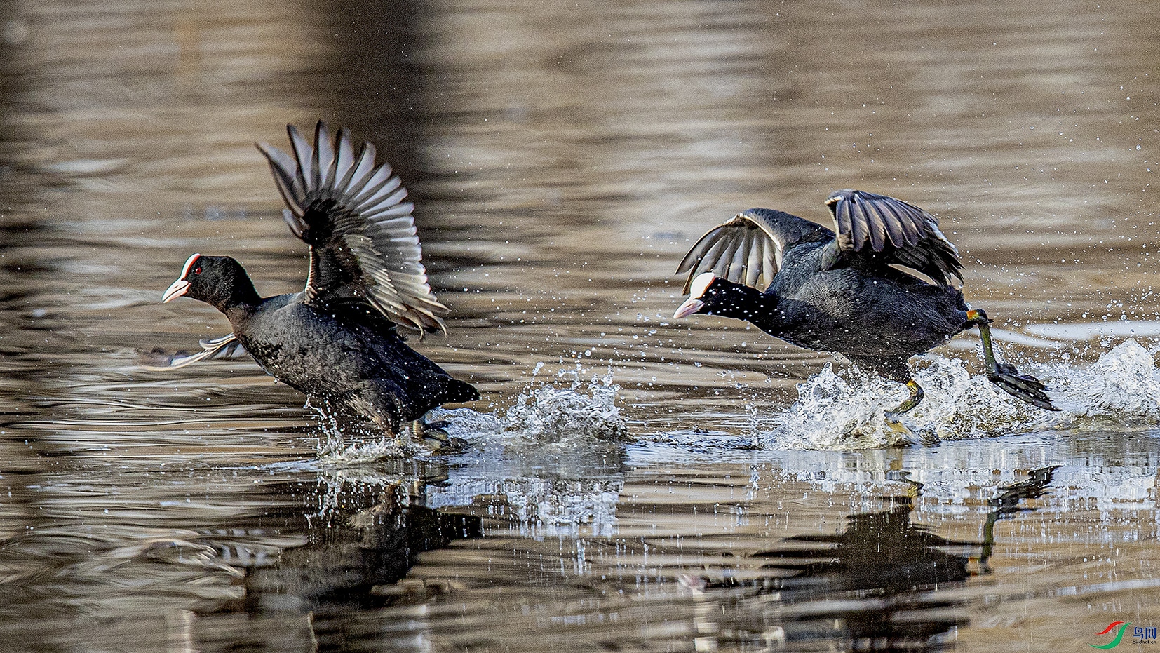 _90I4747 ���� 2.jpg