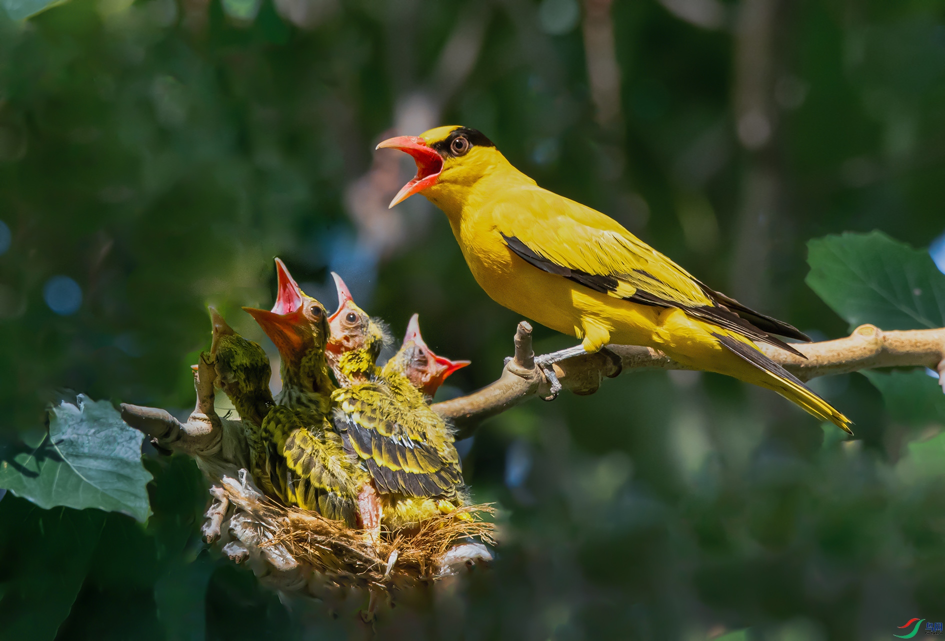 DSC_3906_��ͼ�� ����.jpg