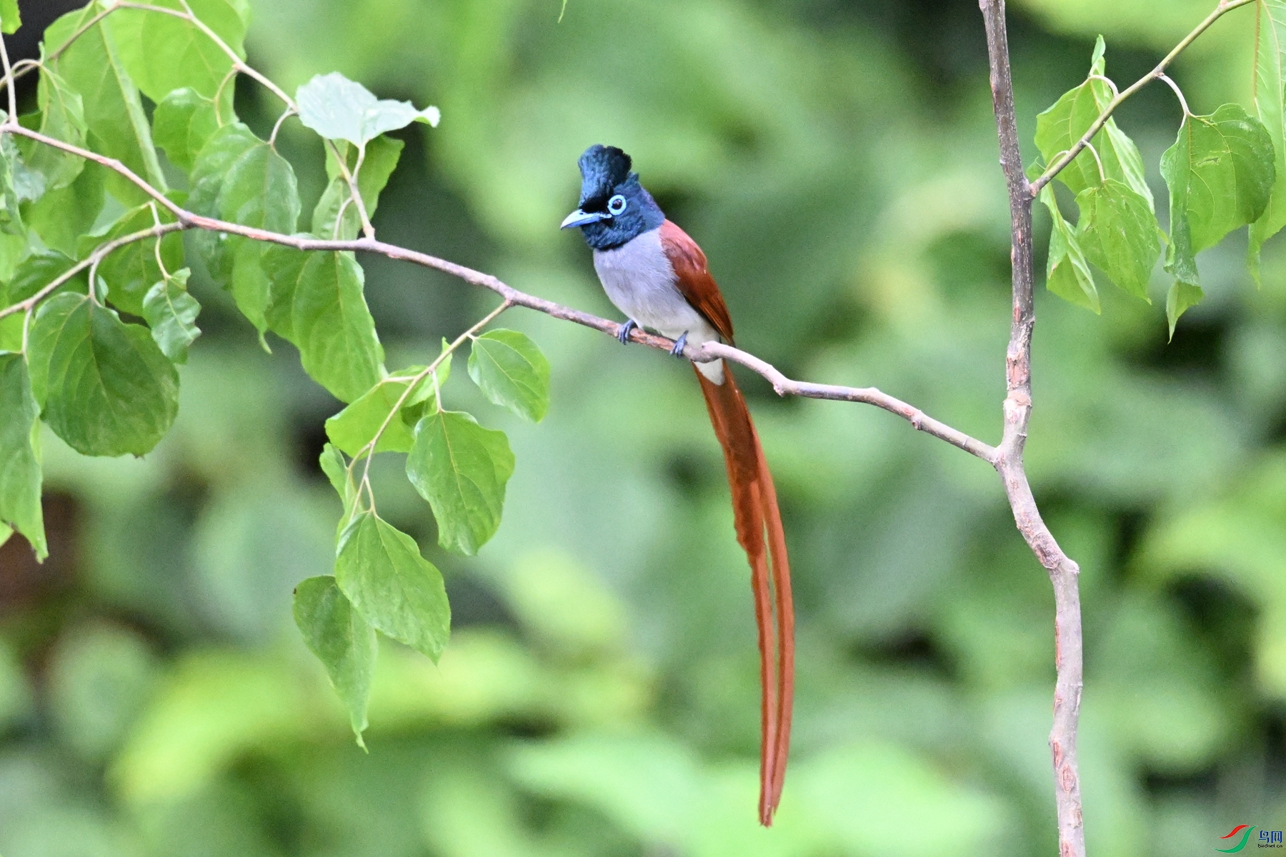 DSC_6865.JPG