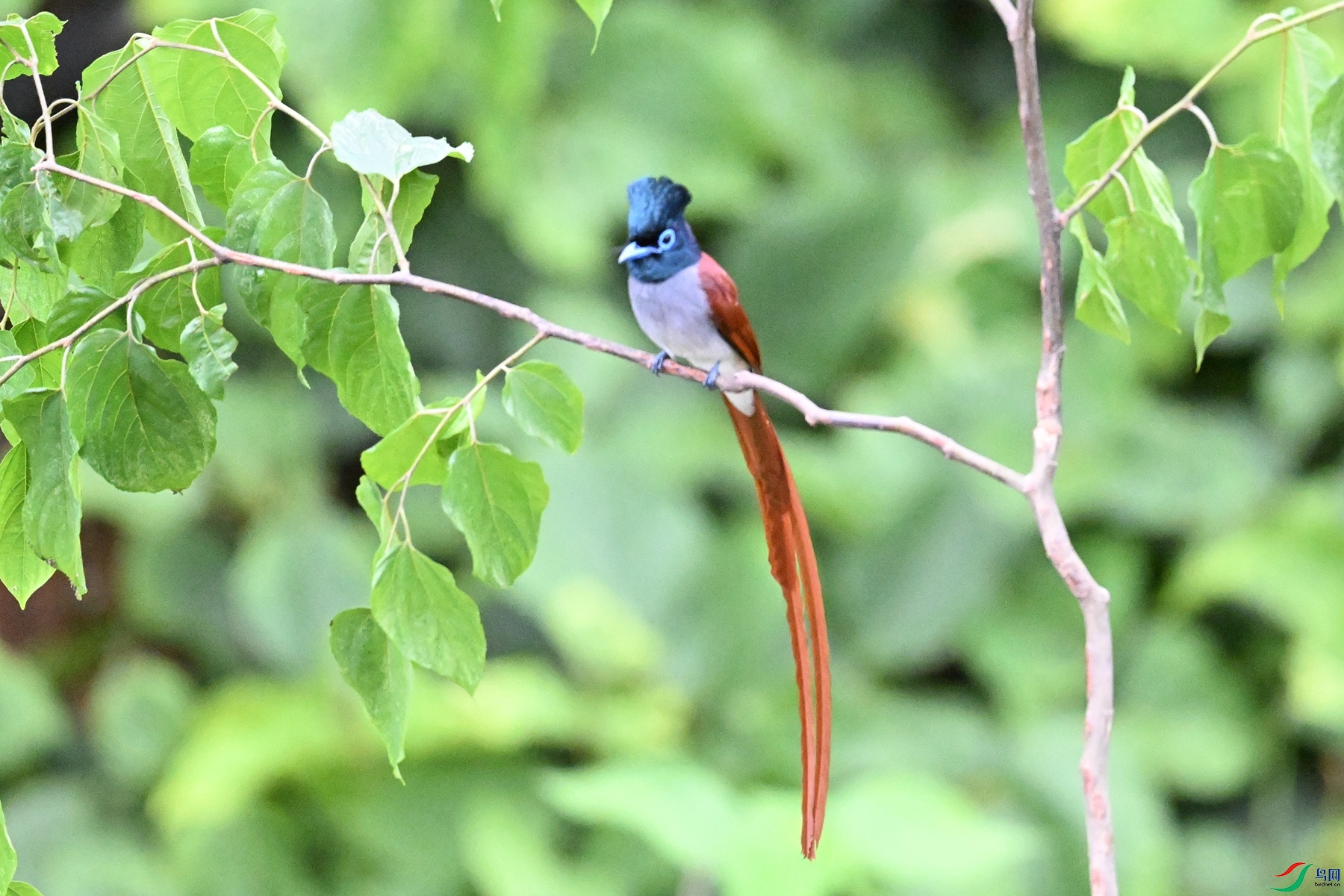DSC_6866.JPG