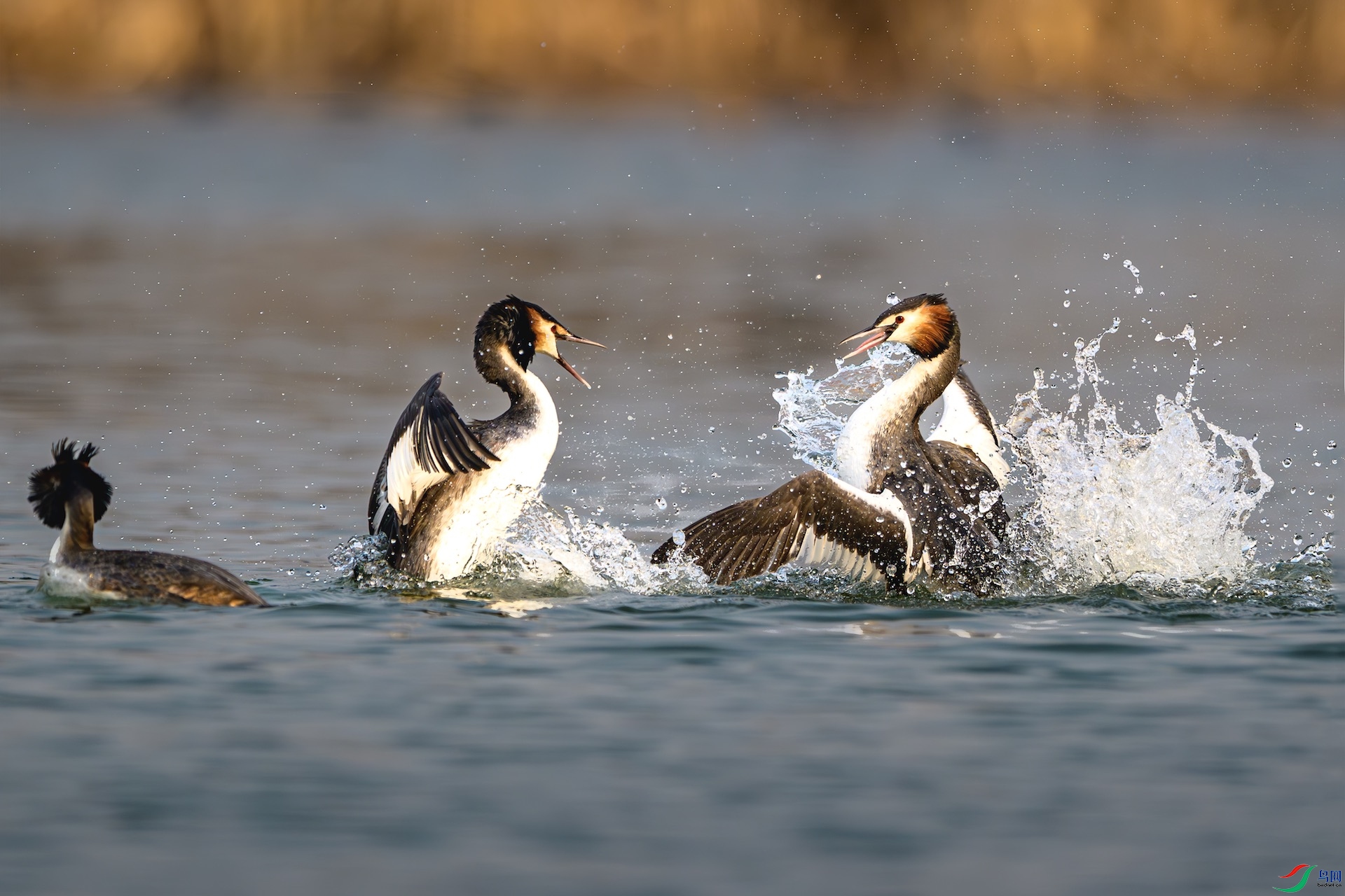 2_DSC2980-����ǿ-NR-1 2.jpeg