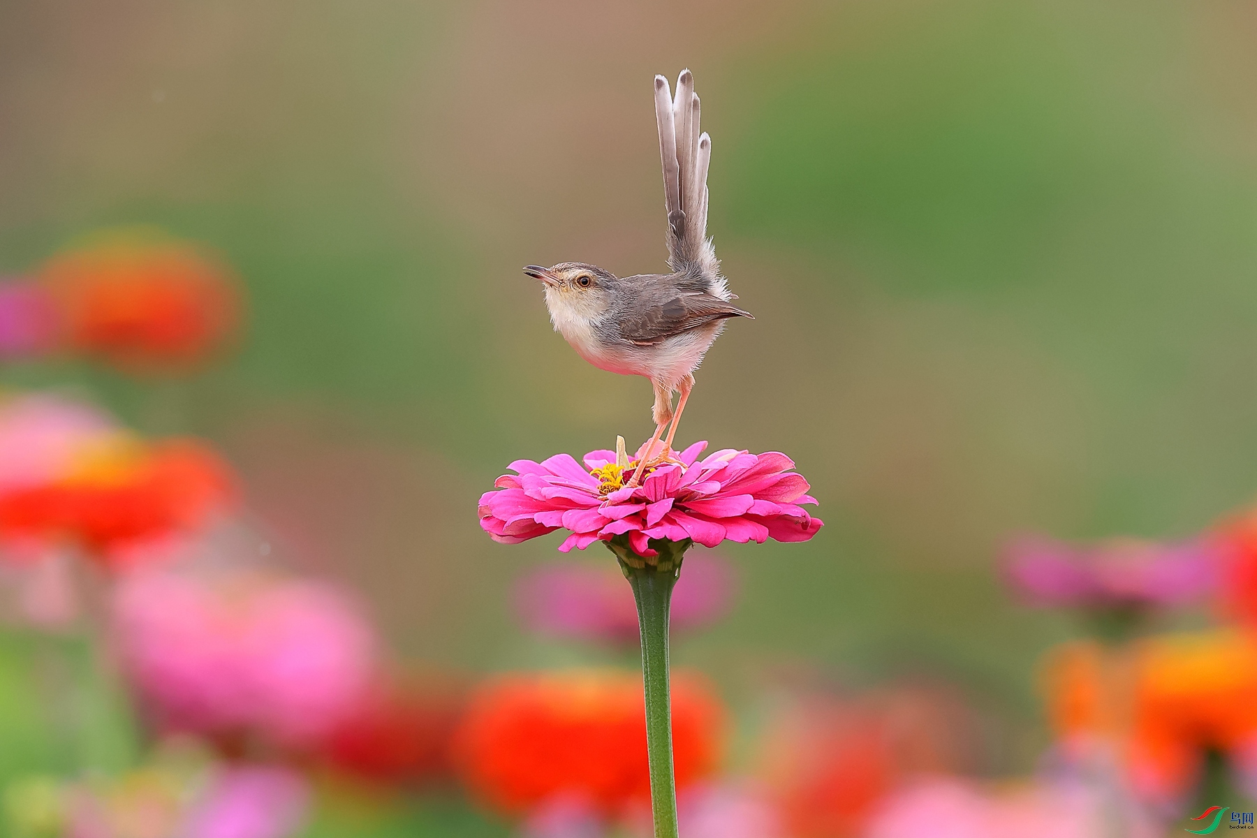 0E2A5401_����.jpg