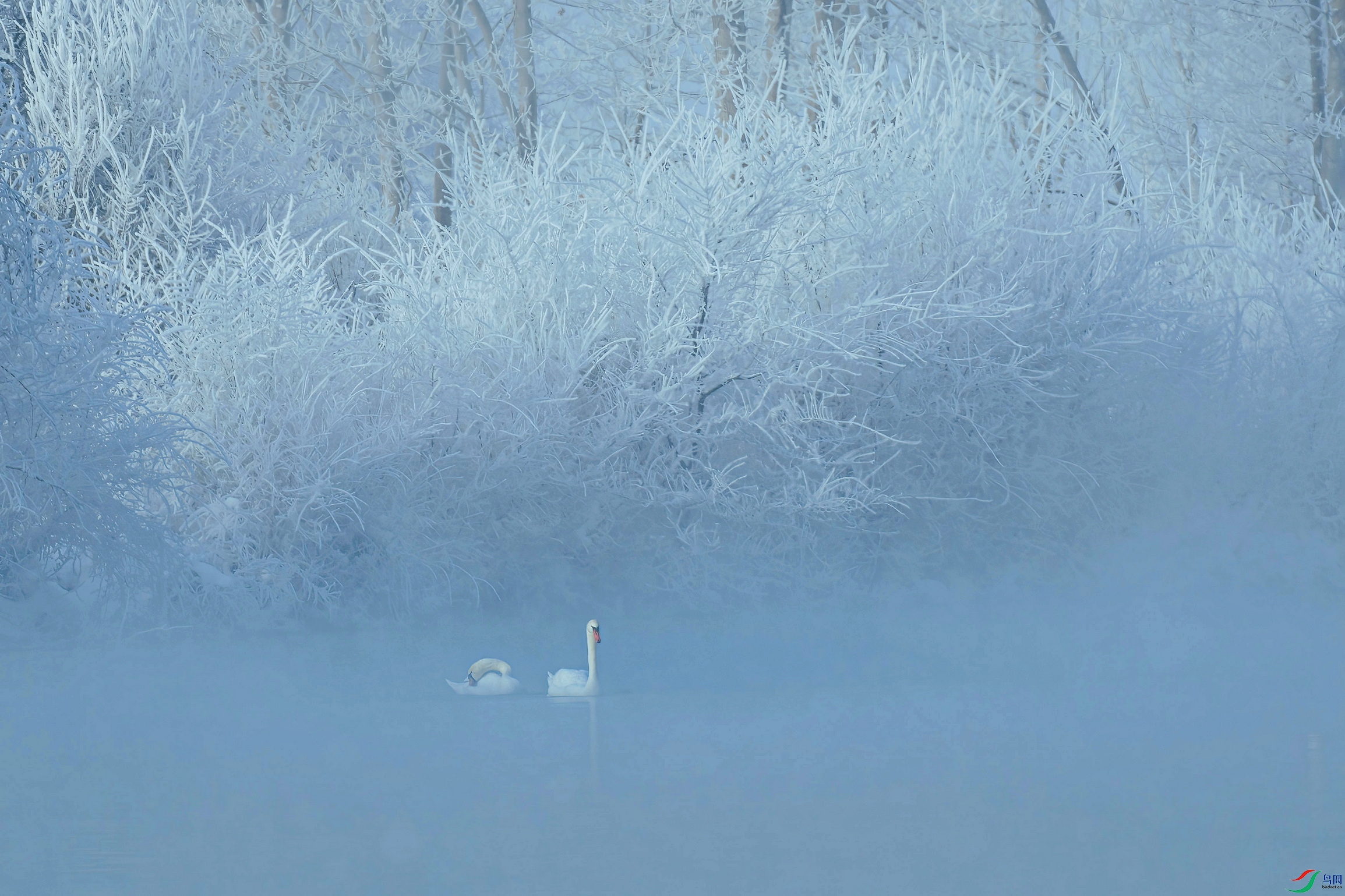 DSC_6516 ����W01.jpg