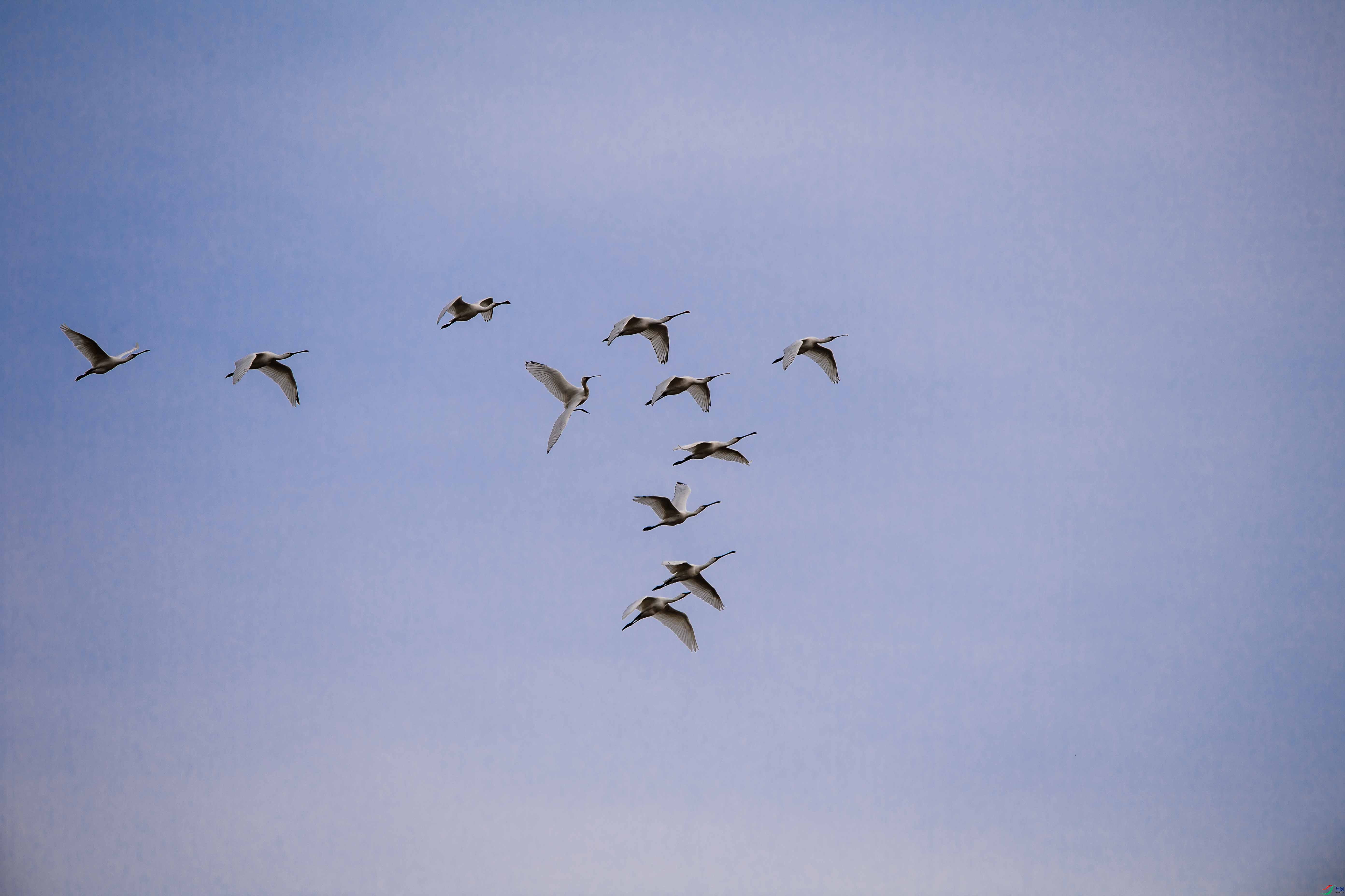 _DSC0475 ����.jpg