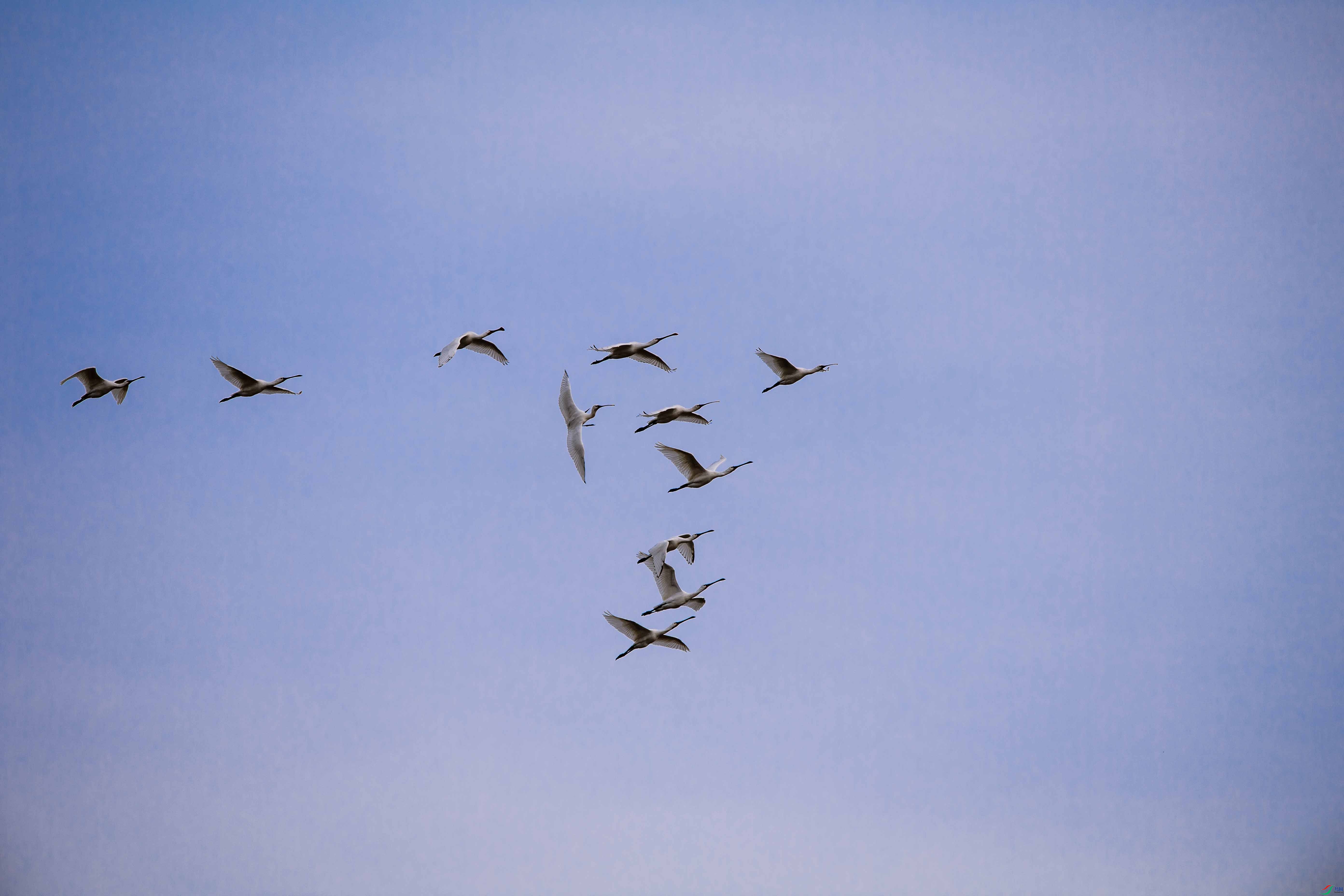 _DSC0474 ����.jpg