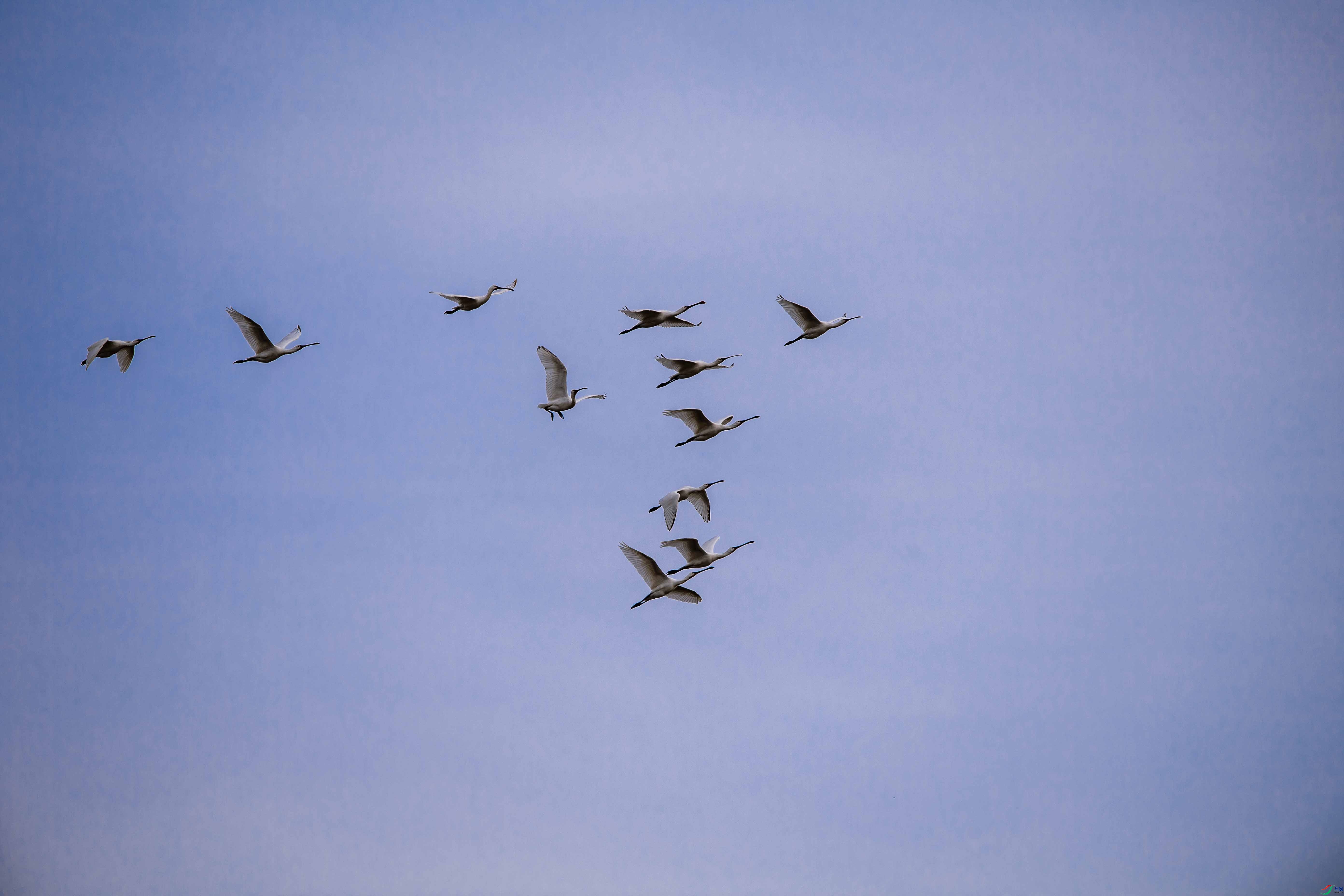 _DSC0477 ����.jpg