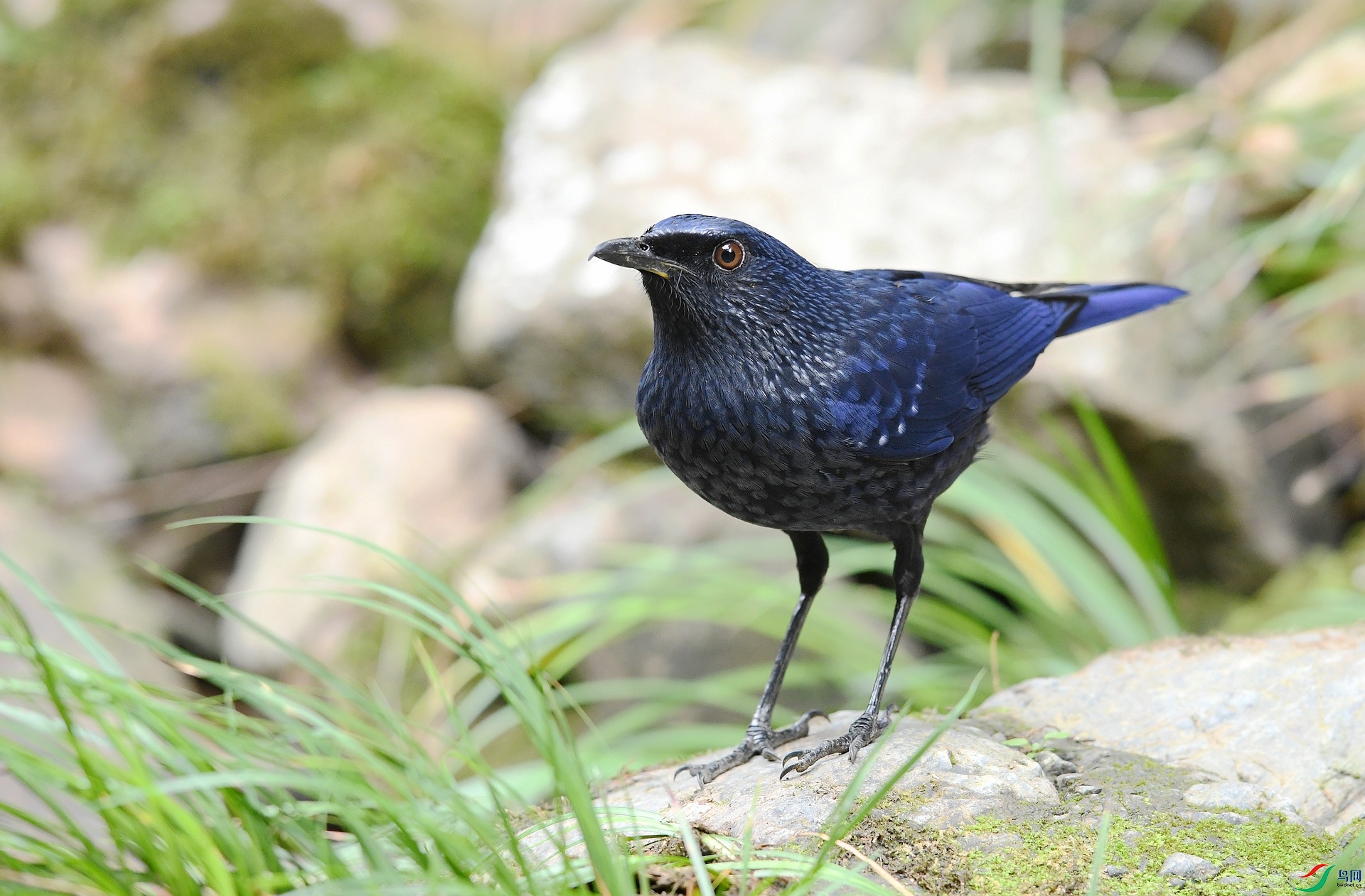 DSC_2043.jpg