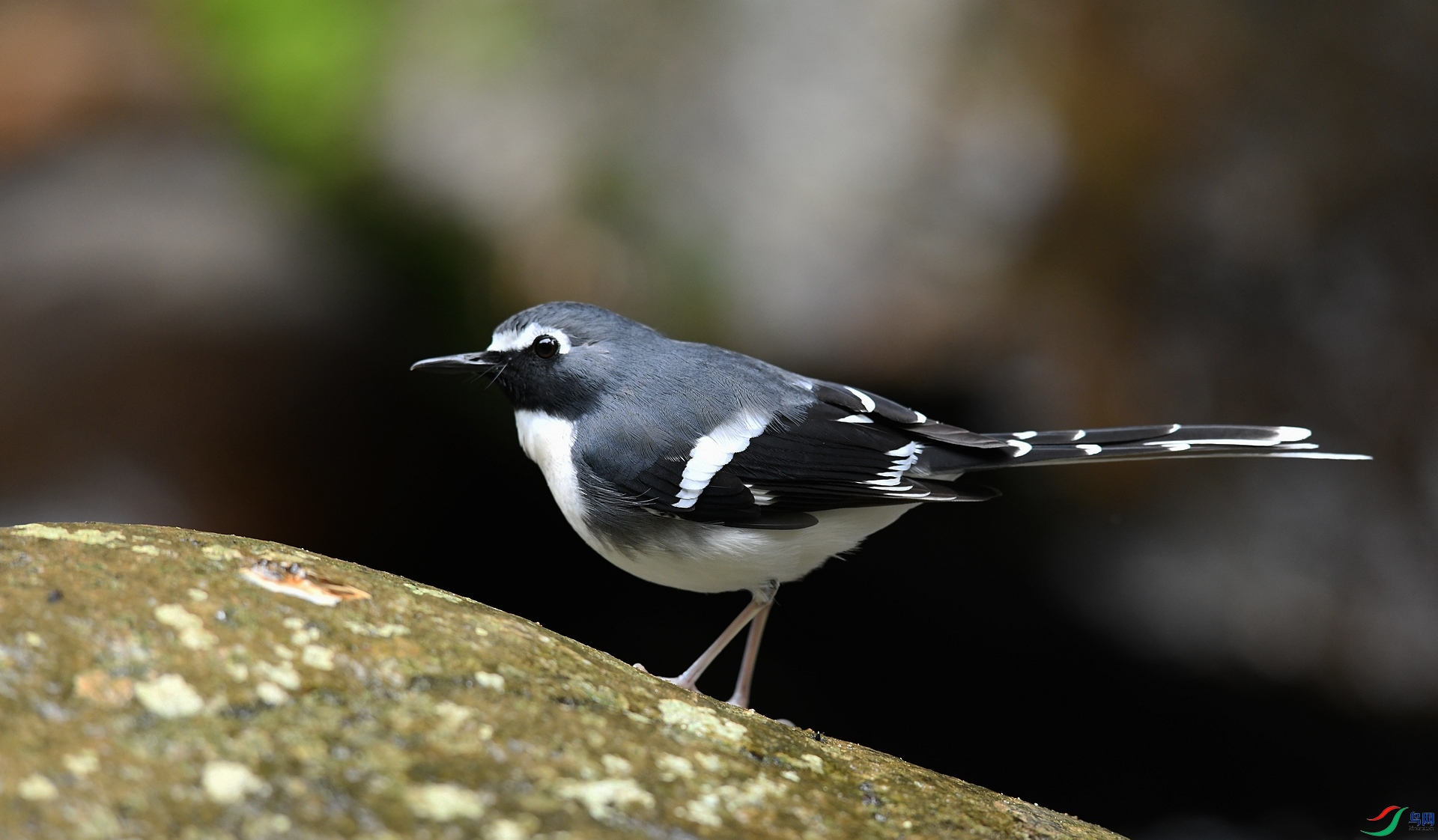 DSC_1743.jpg