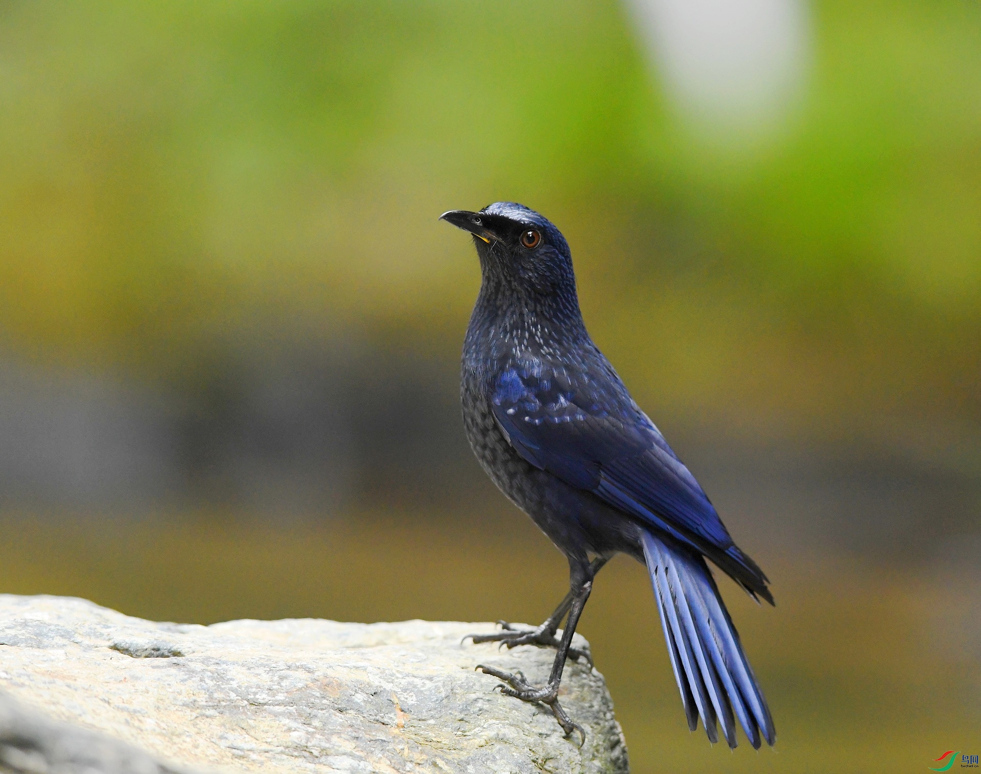 DSC_2867.jpg