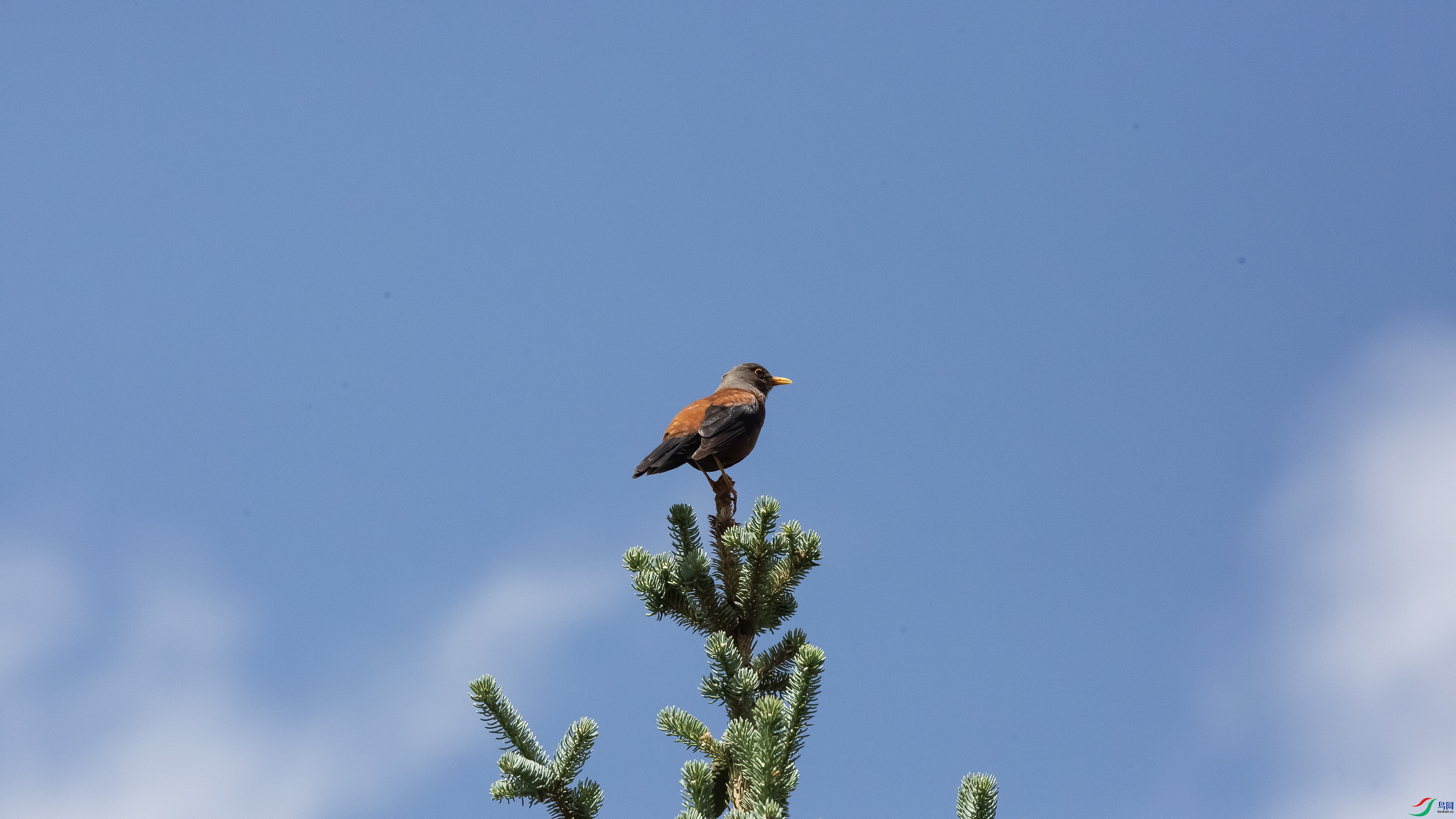 _39A8201 ����4444.jpg