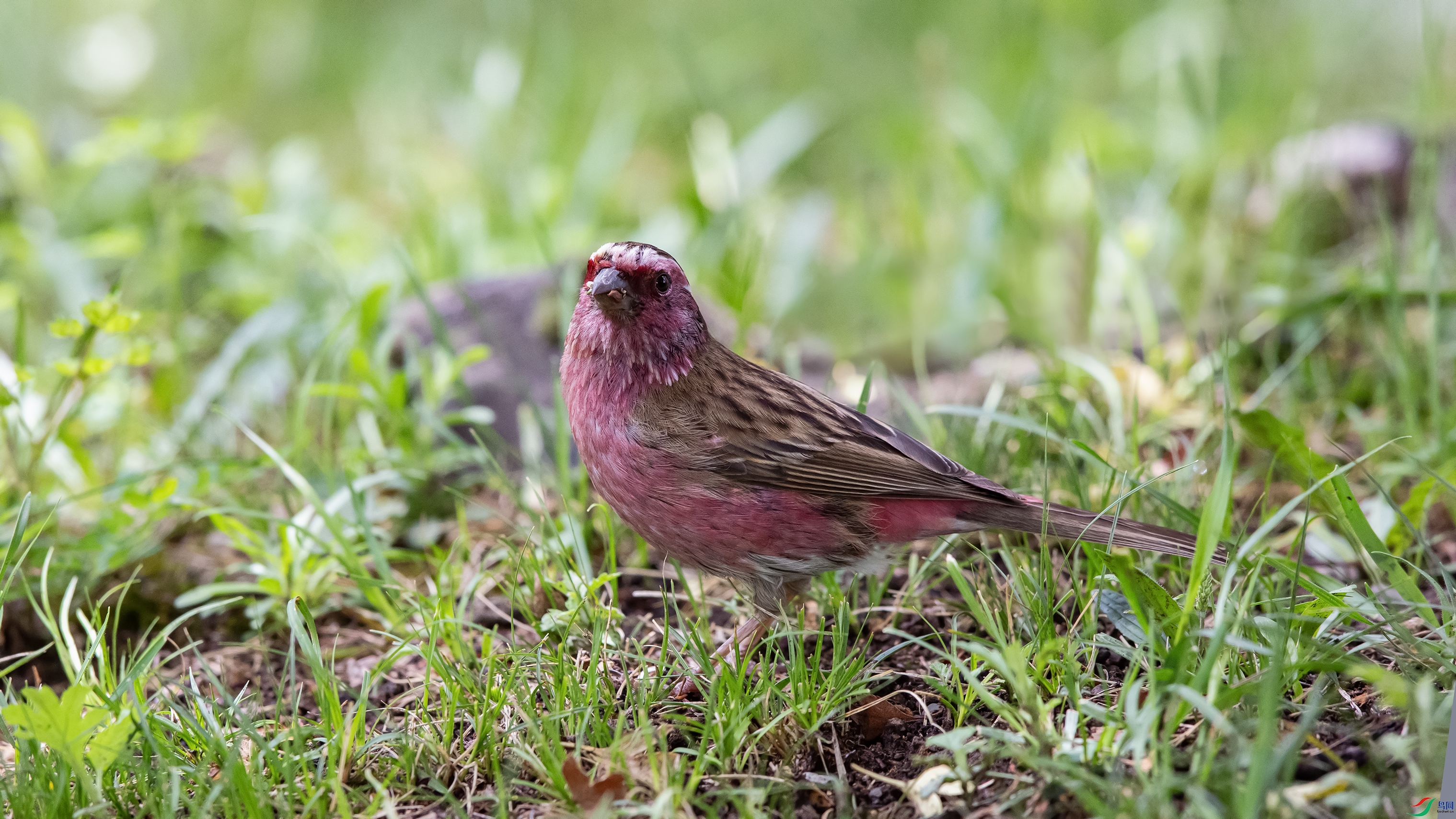 _39A7911 ����4444.jpg