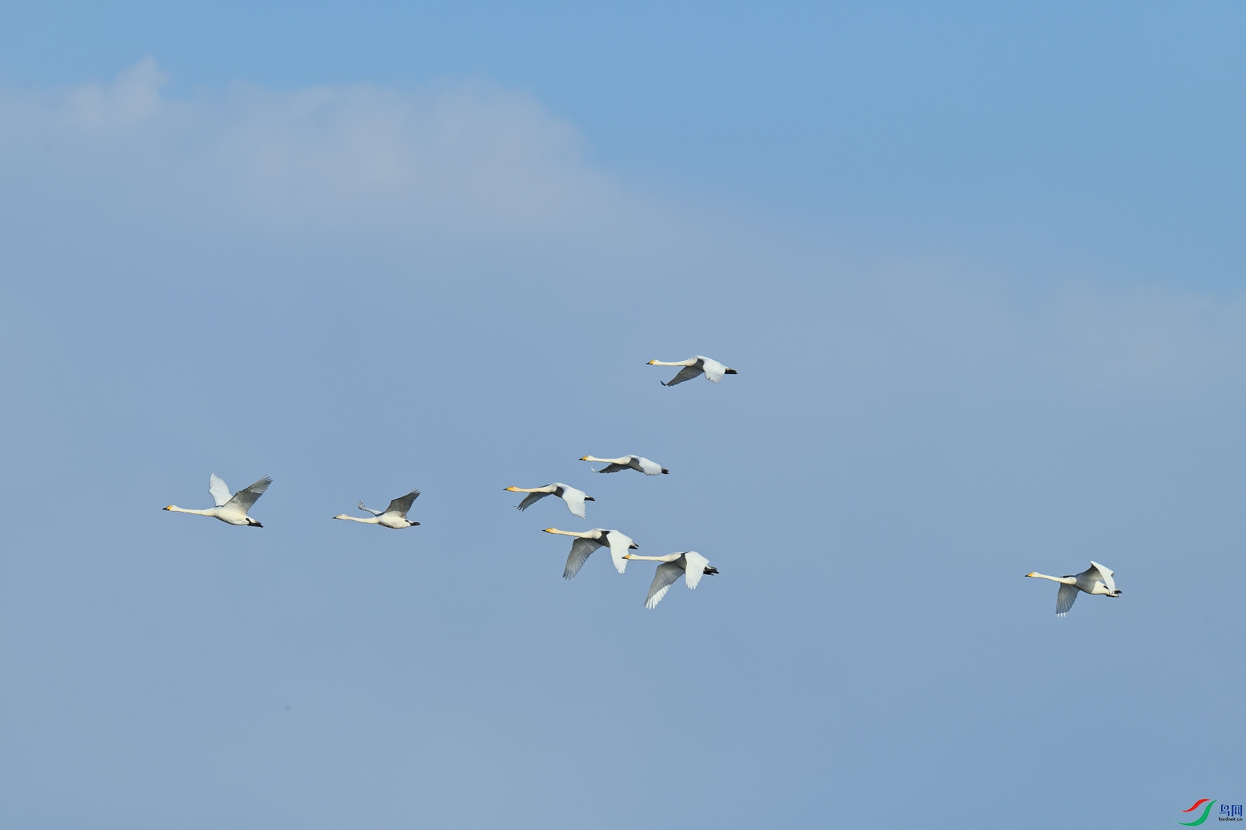 DSC_6701.JPG