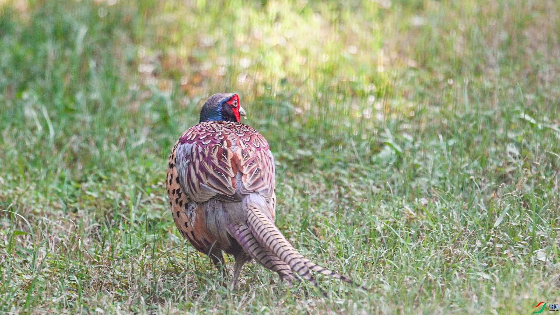 DSC_5143.jpg
