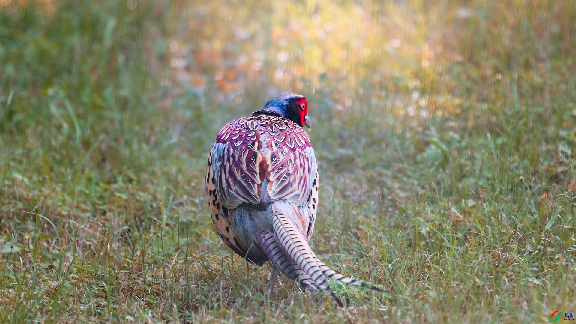 DSC_5144.jpg