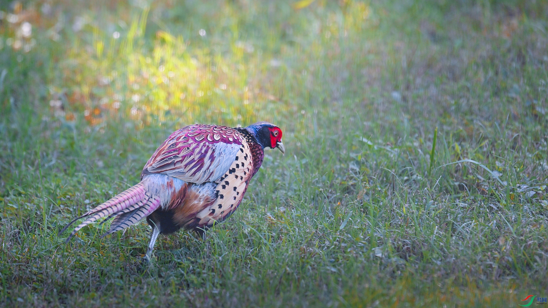 DSC_5147.jpg