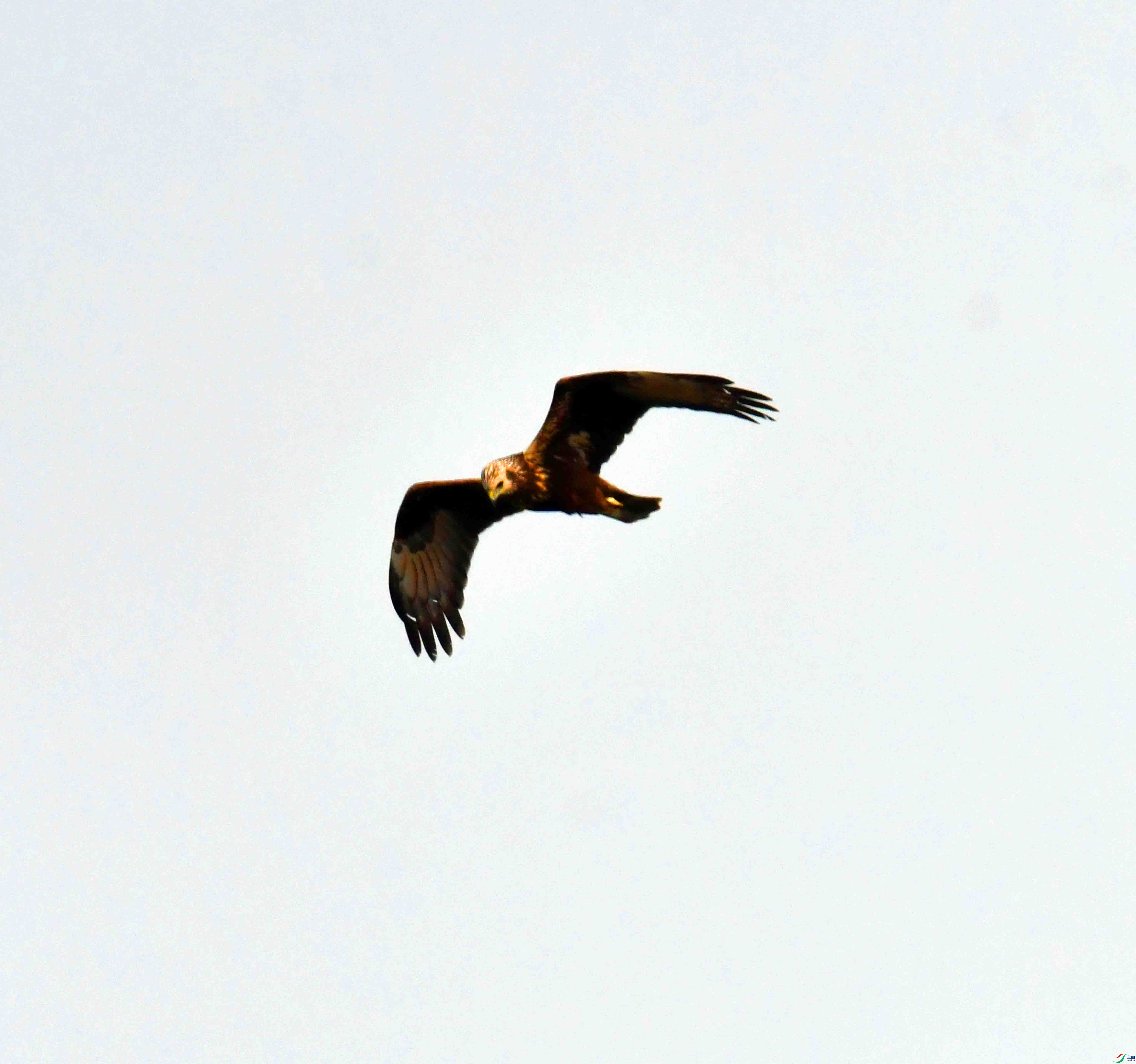DSC_8392.JPG