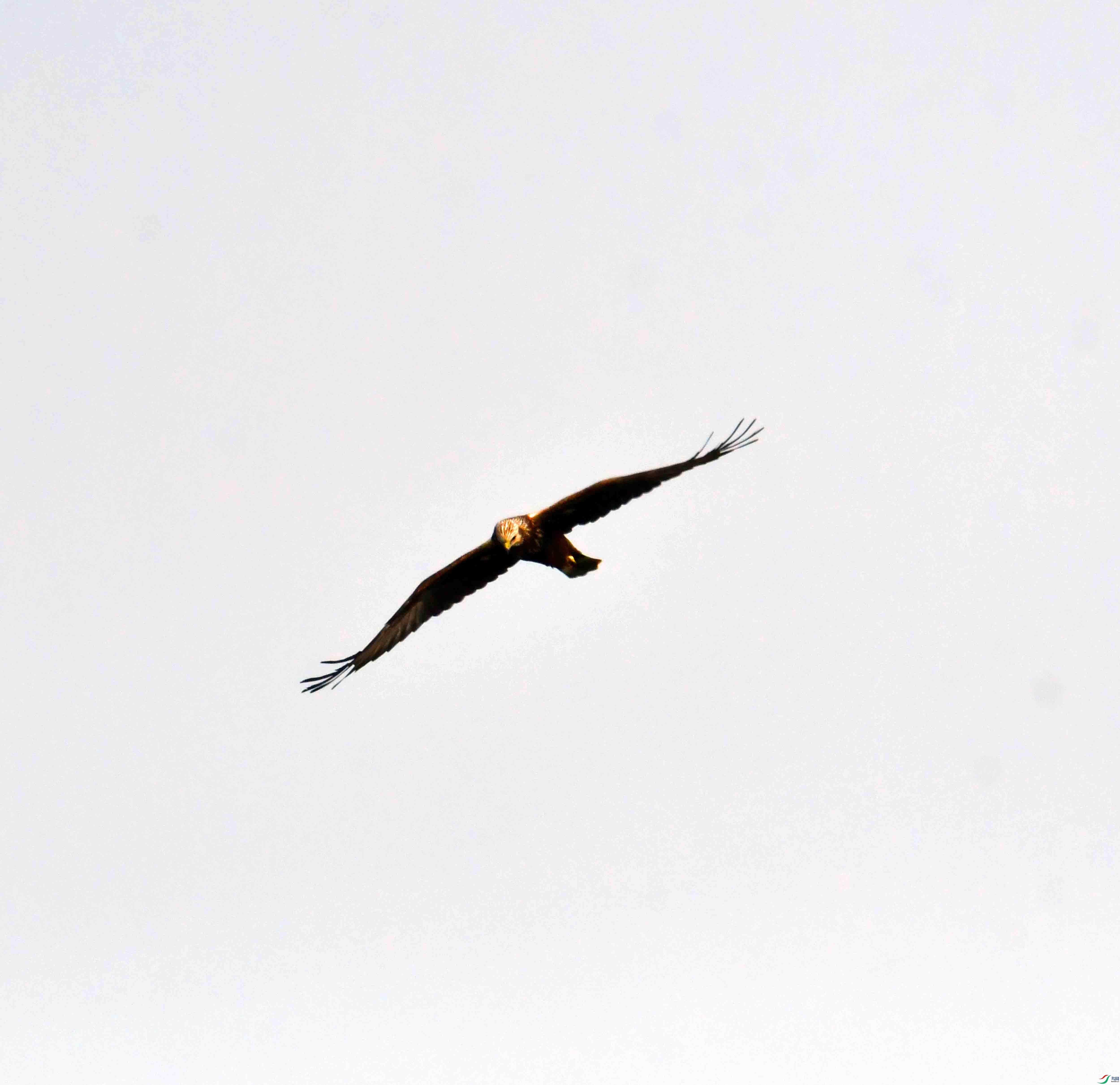 DSC_8391.JPG