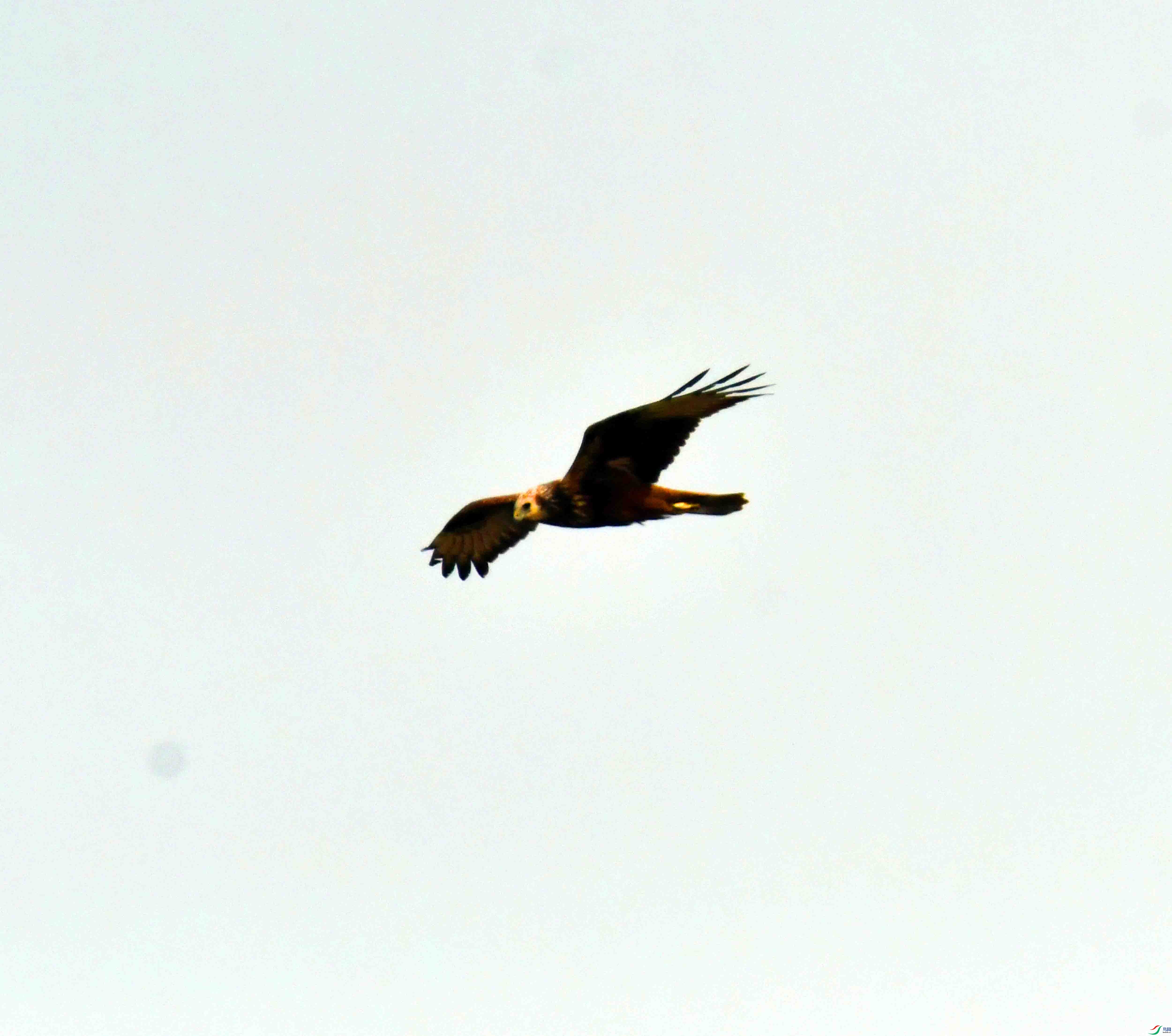 DSC_8397.JPG