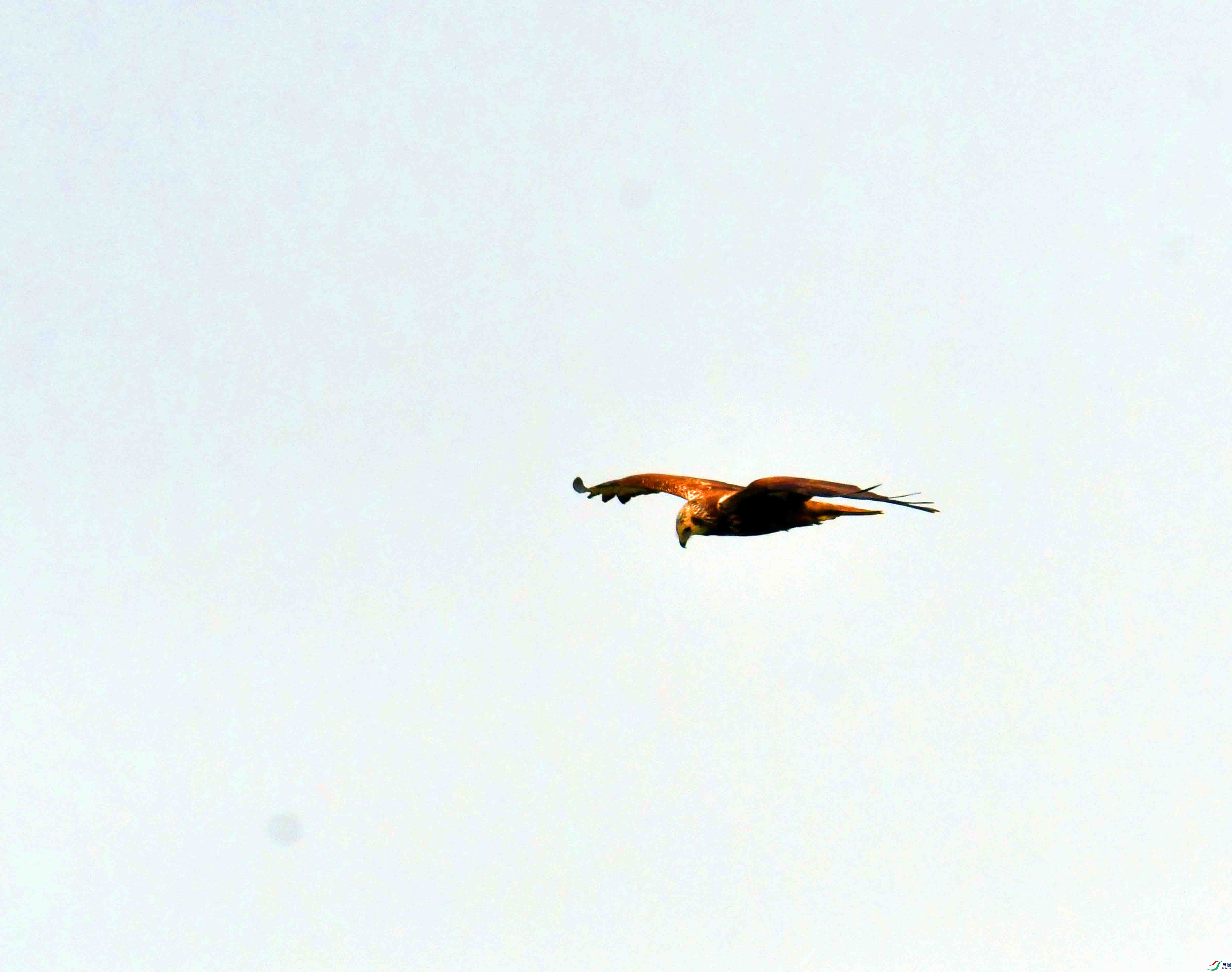 DSC_8414.JPG