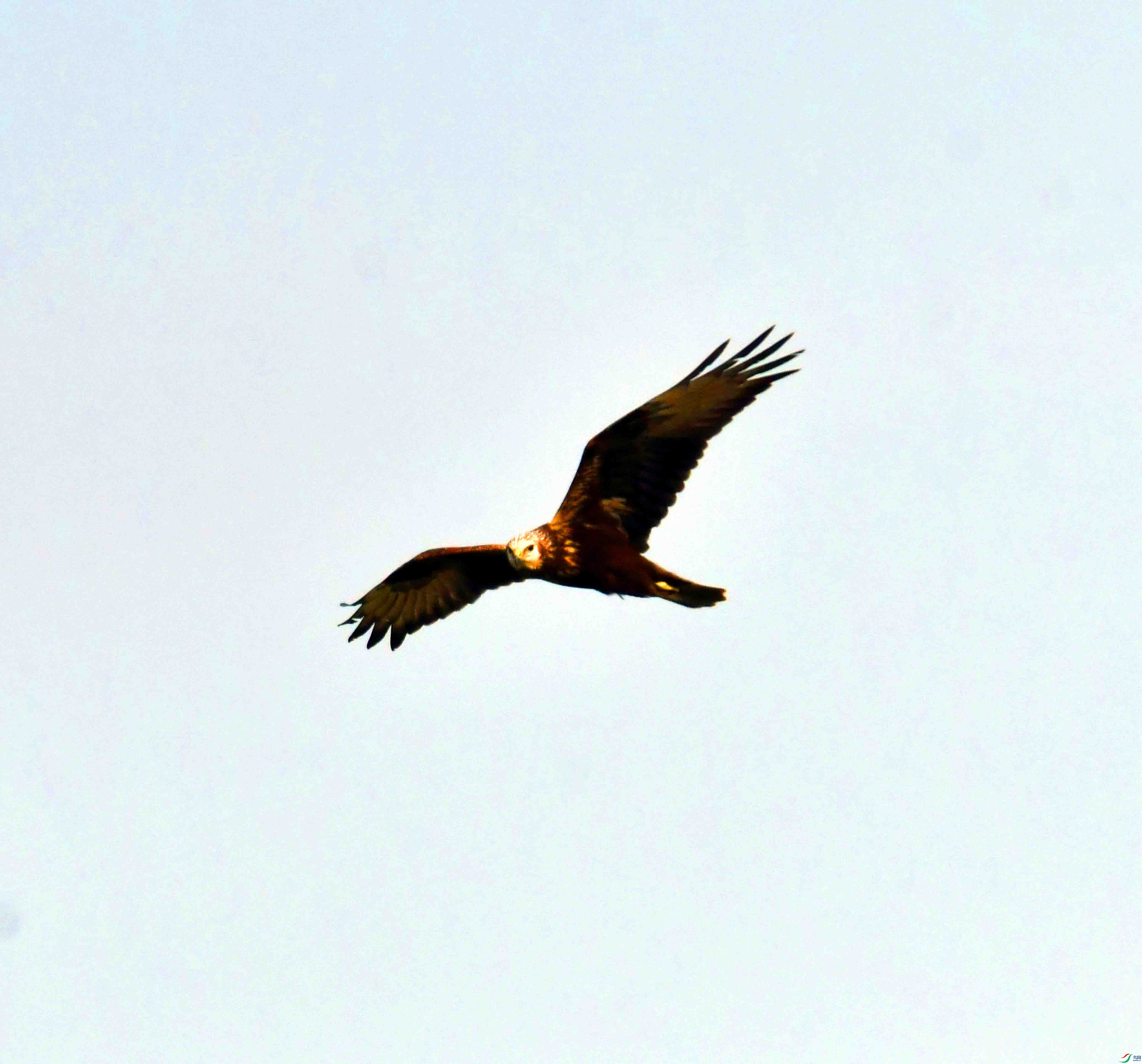 DSC_8422.JPG