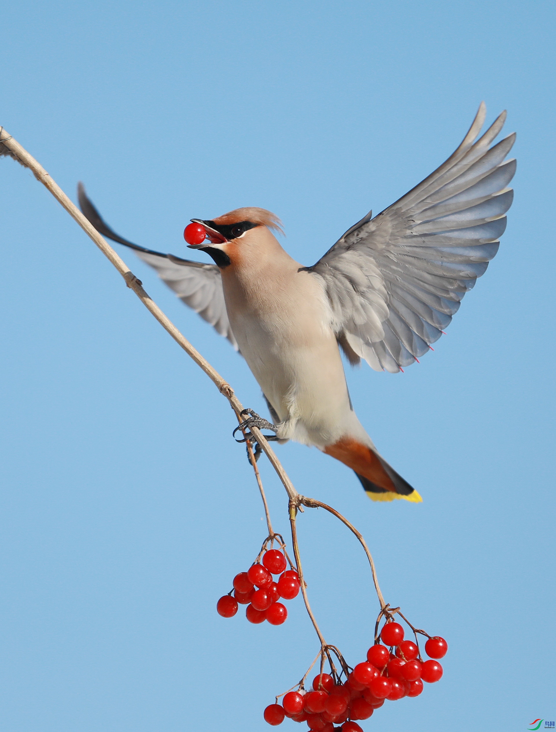 9G8A5070 ����.jpg