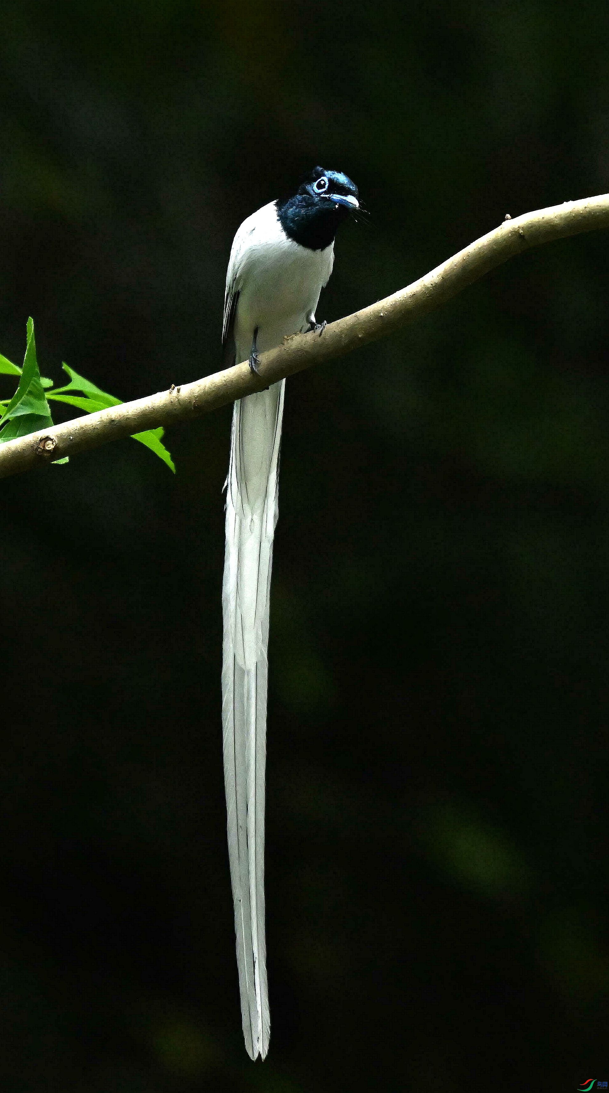DSC_4395.jpg