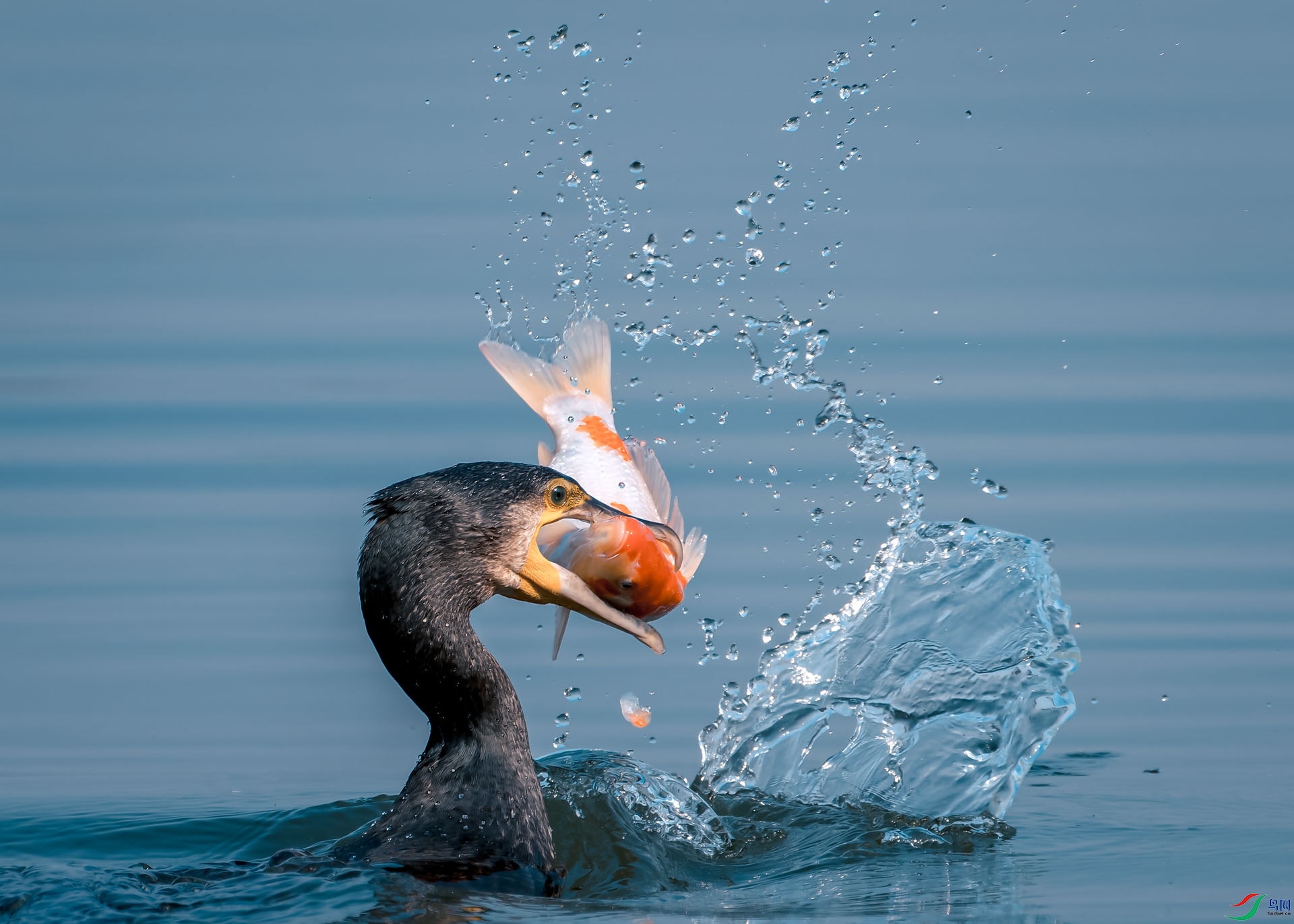 DSC_3813_1.jpg