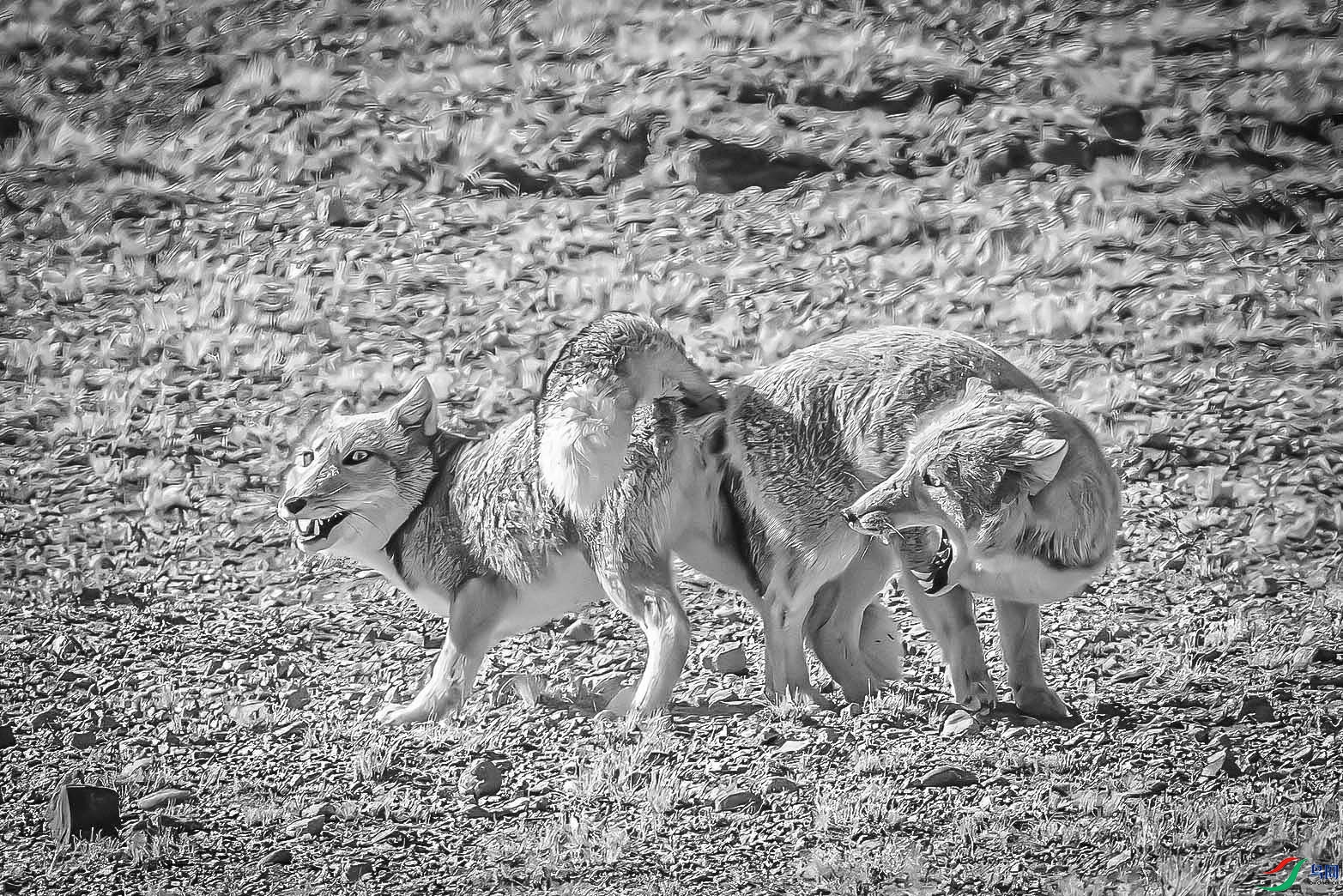 CI6W6864 �����غ�(�ڰ�).jpg