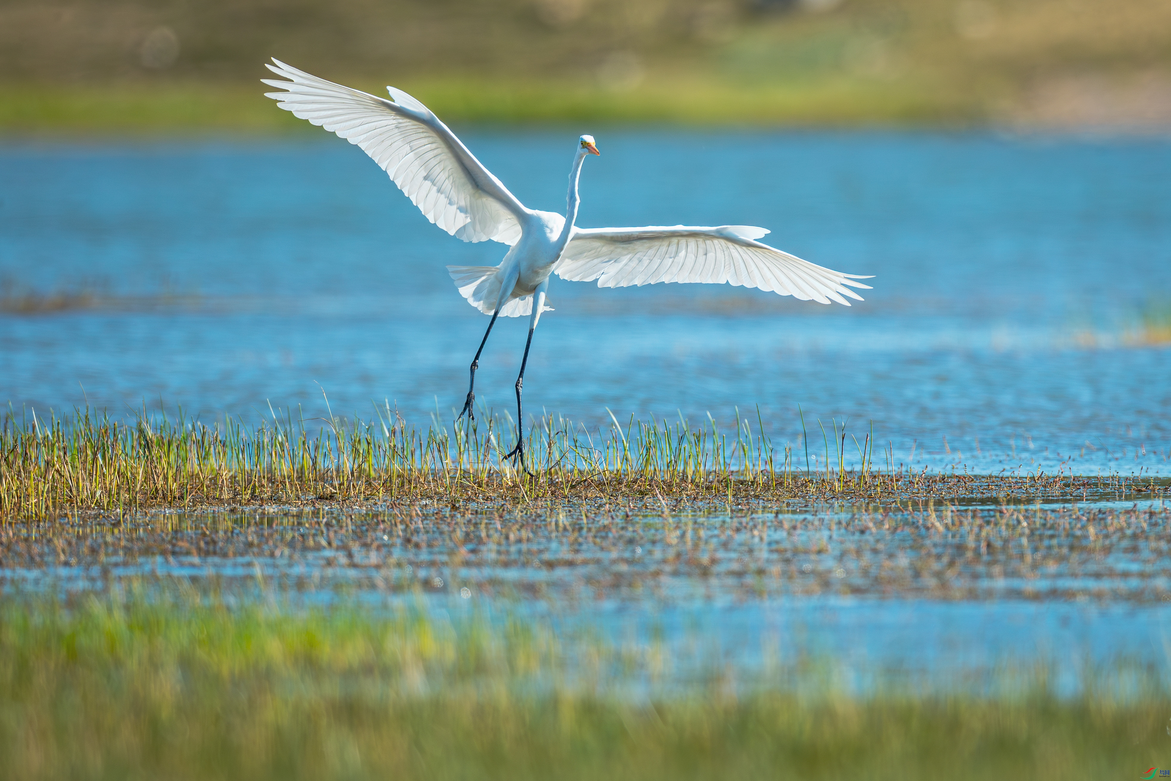 Ըū������˫��