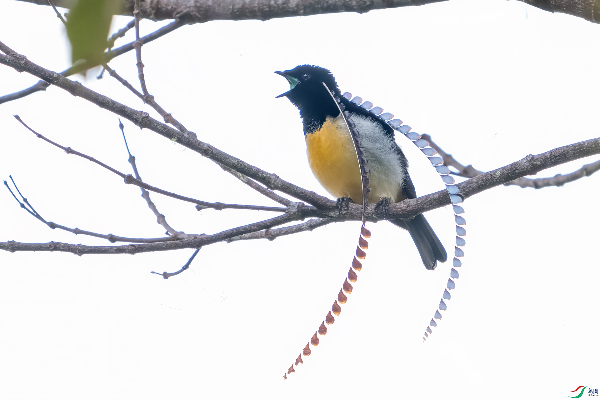 DSC_0715.jpg