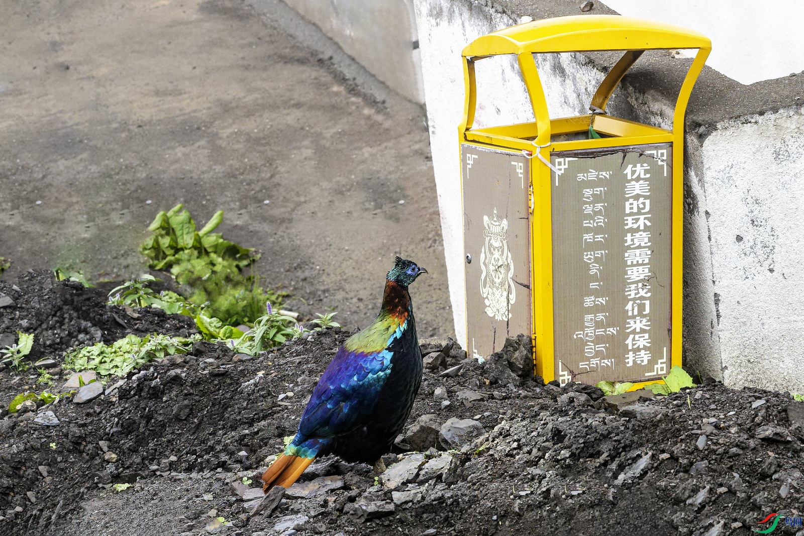 ��β���� (1)-01.jpg