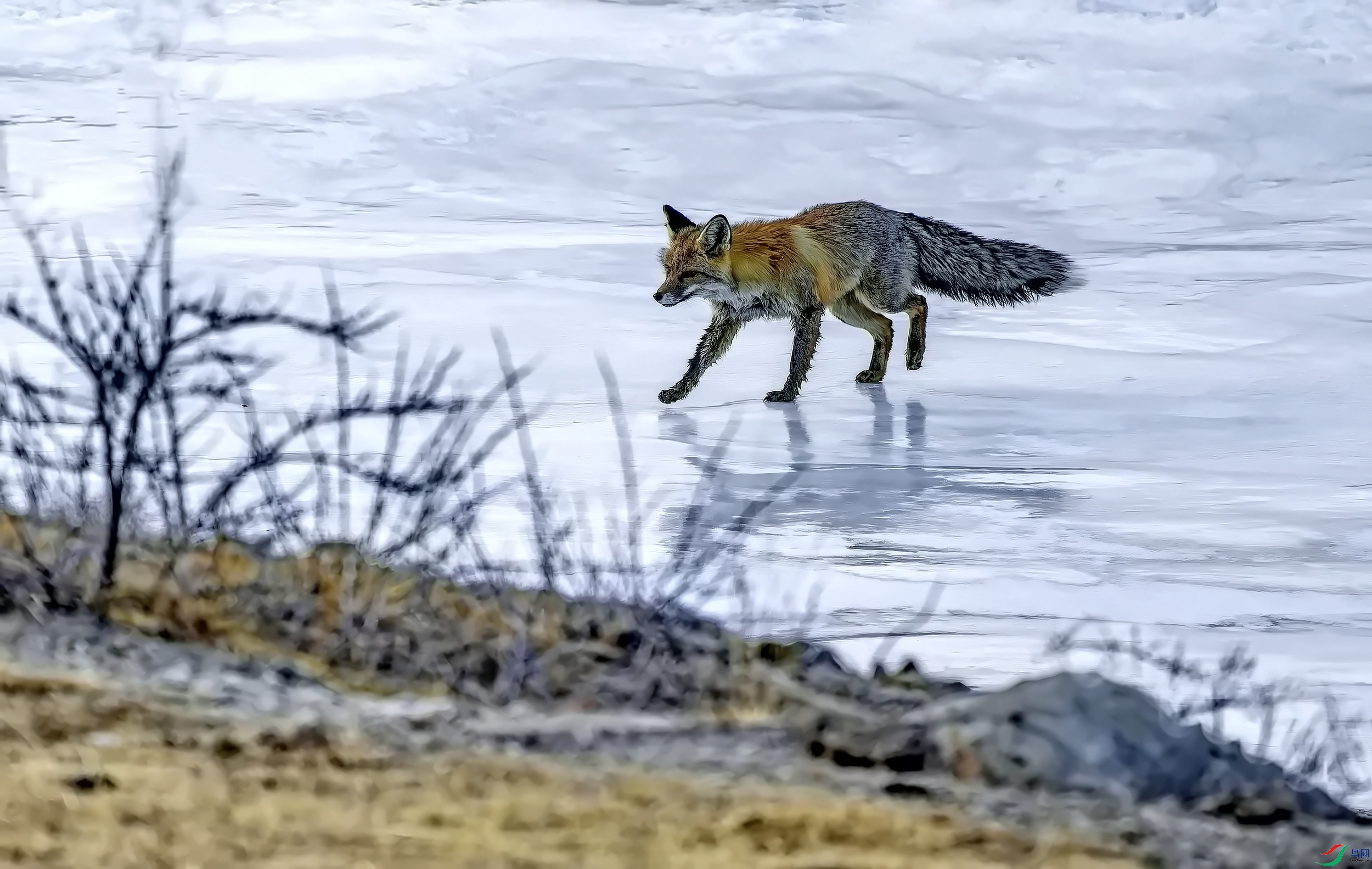 ��� (14)-001.jpg