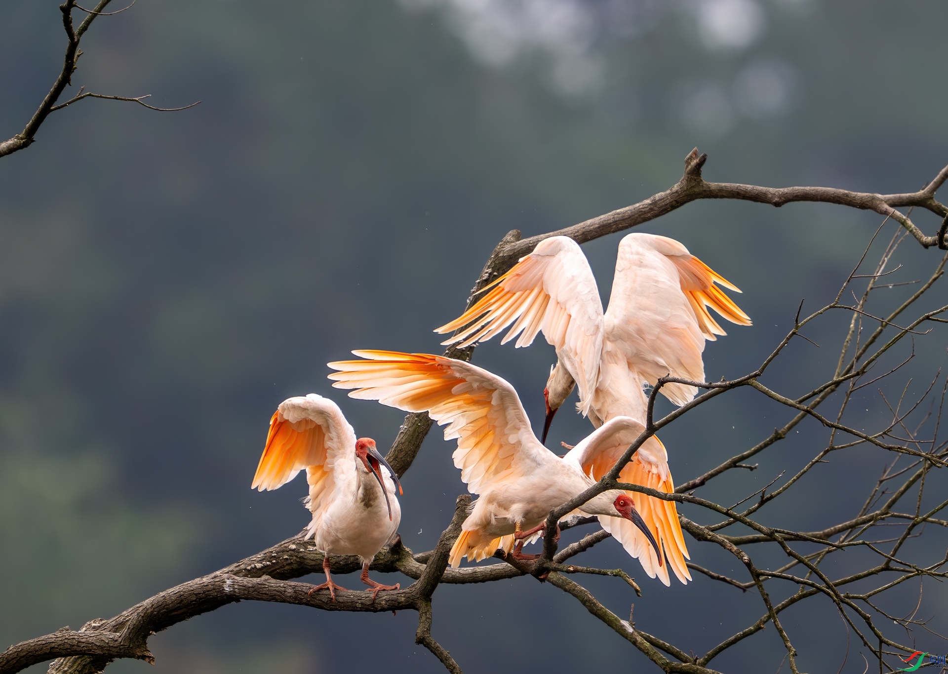 DSC_9139-1.jpg