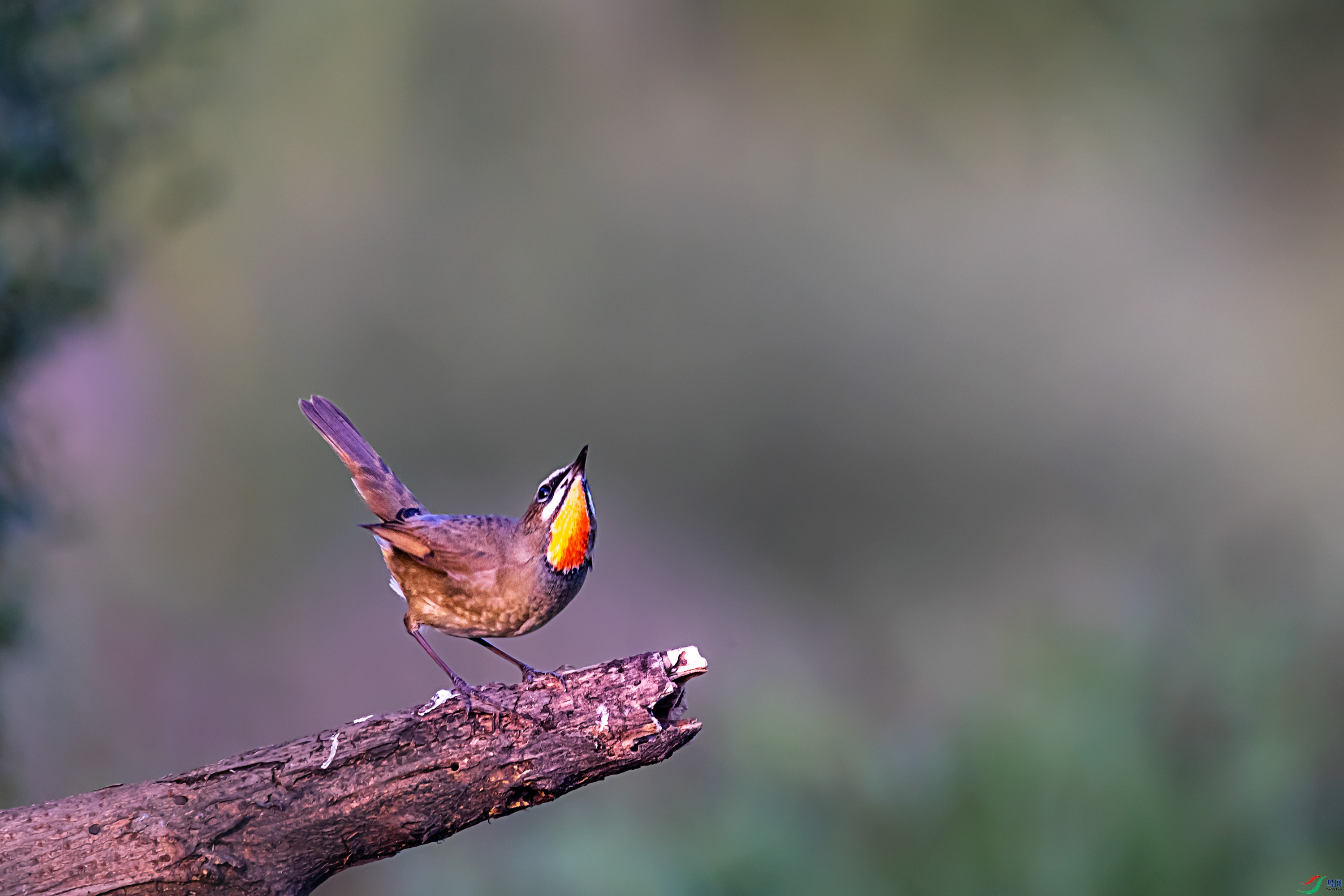 278A6766.jpg