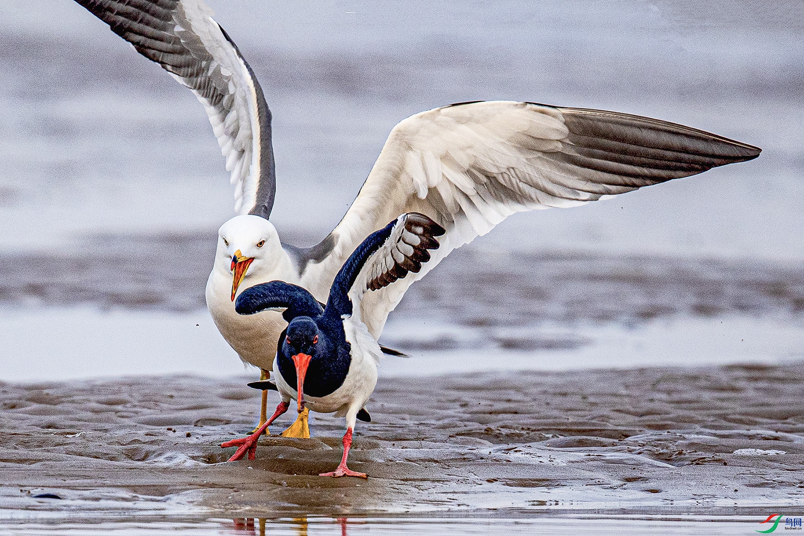 _90I3183 ���� 2.jpg