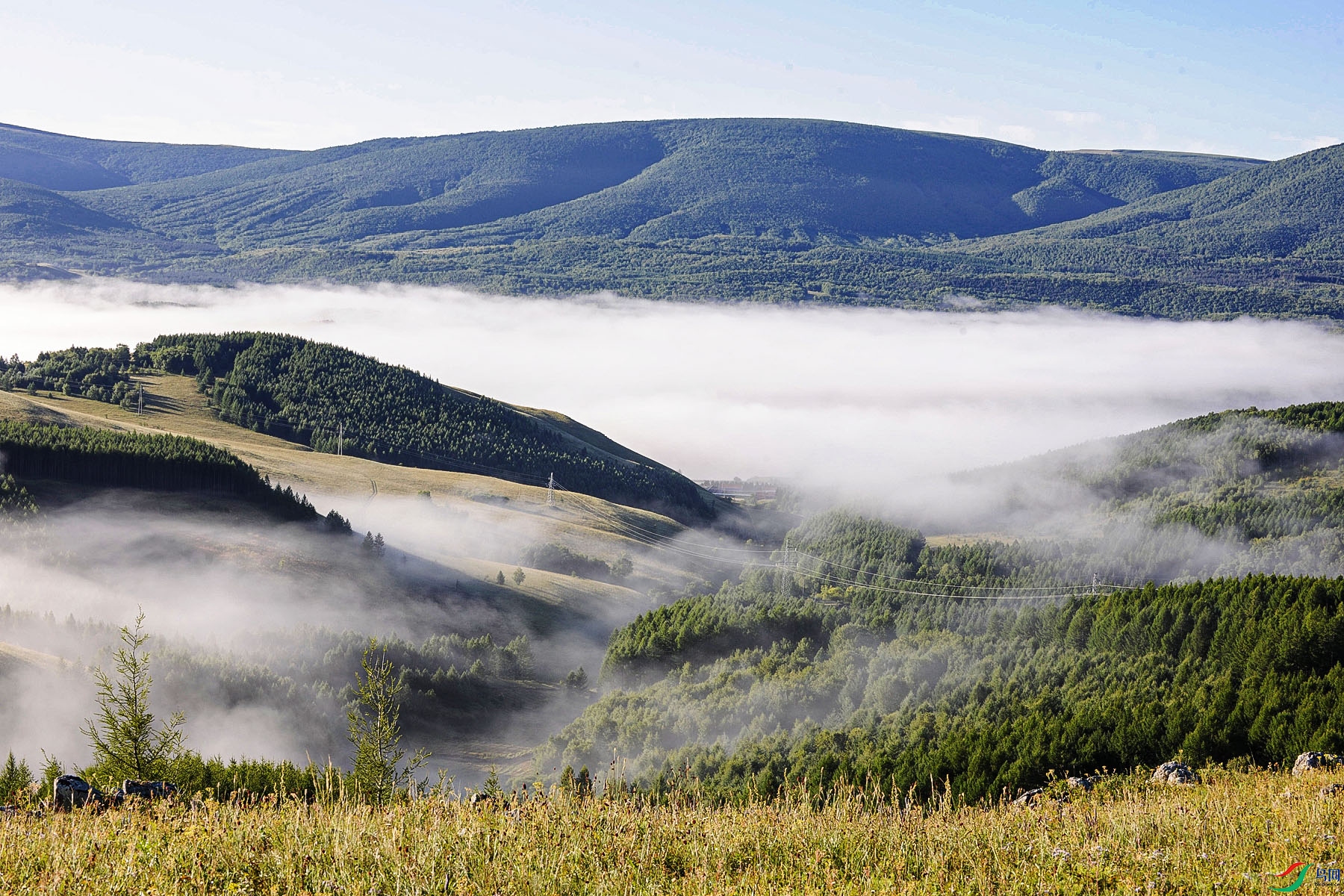 _DSC8370.jpg