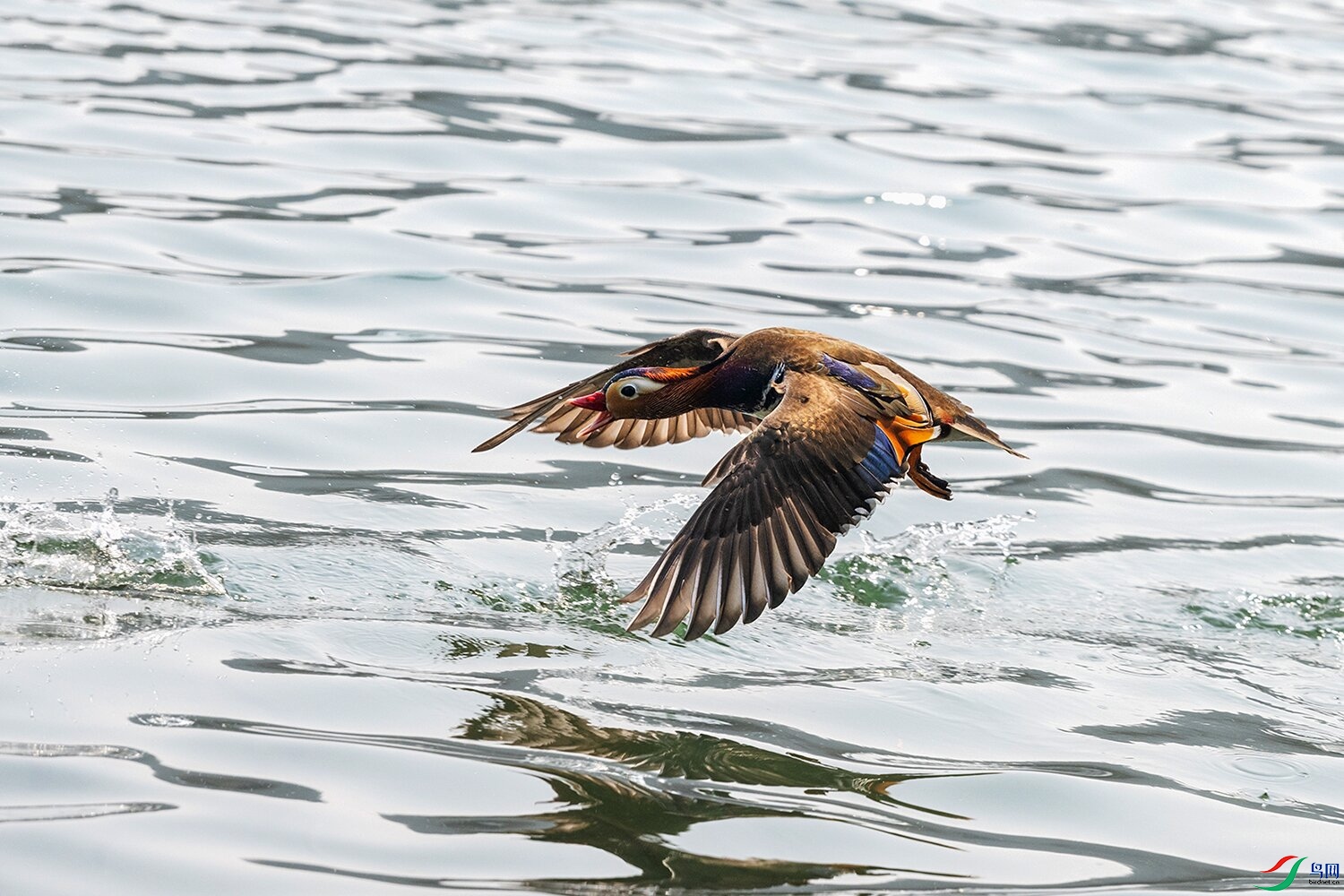 _DSC0836 ���� 2.jpg