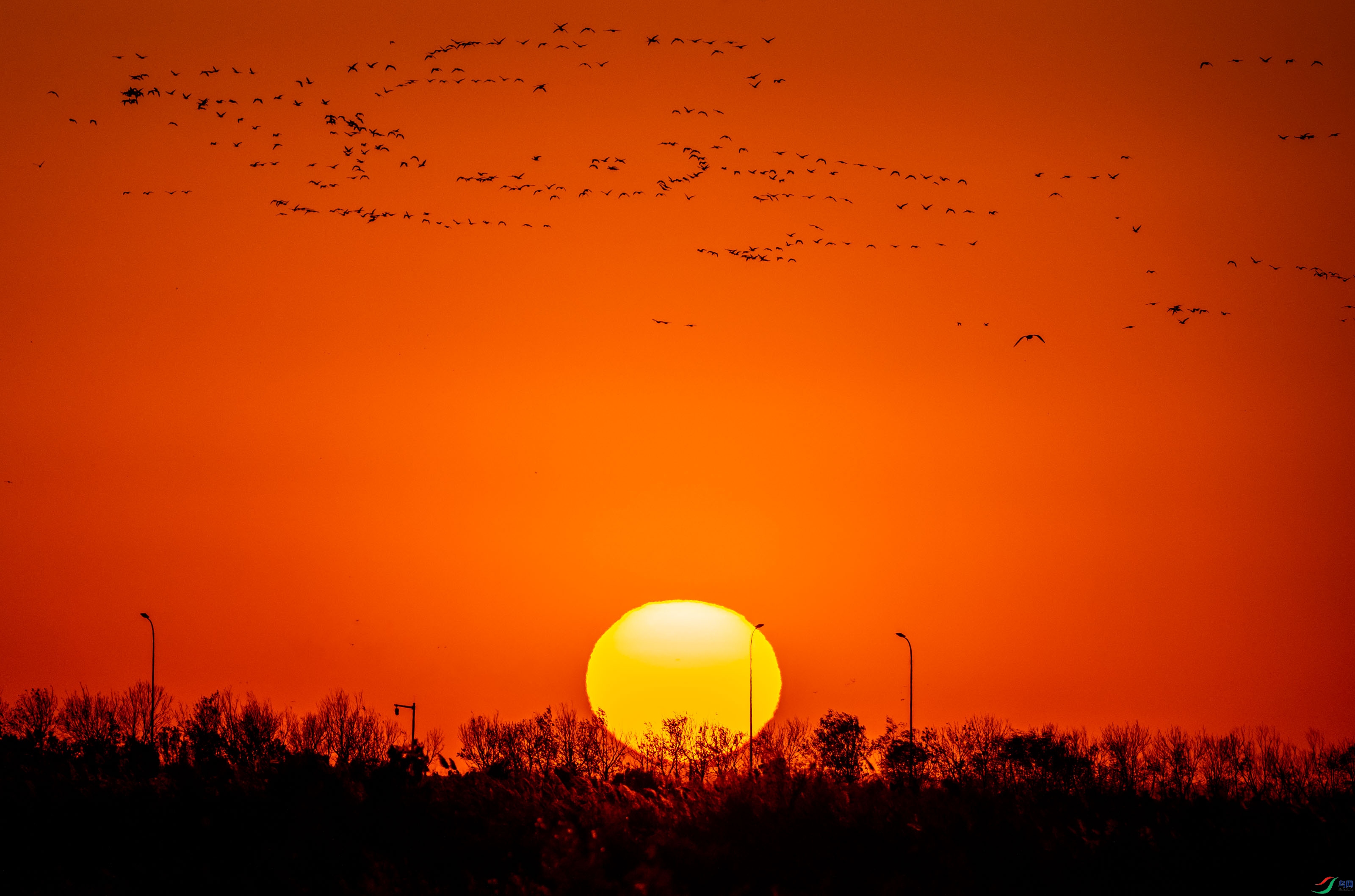 ��ĺ-9.jpg