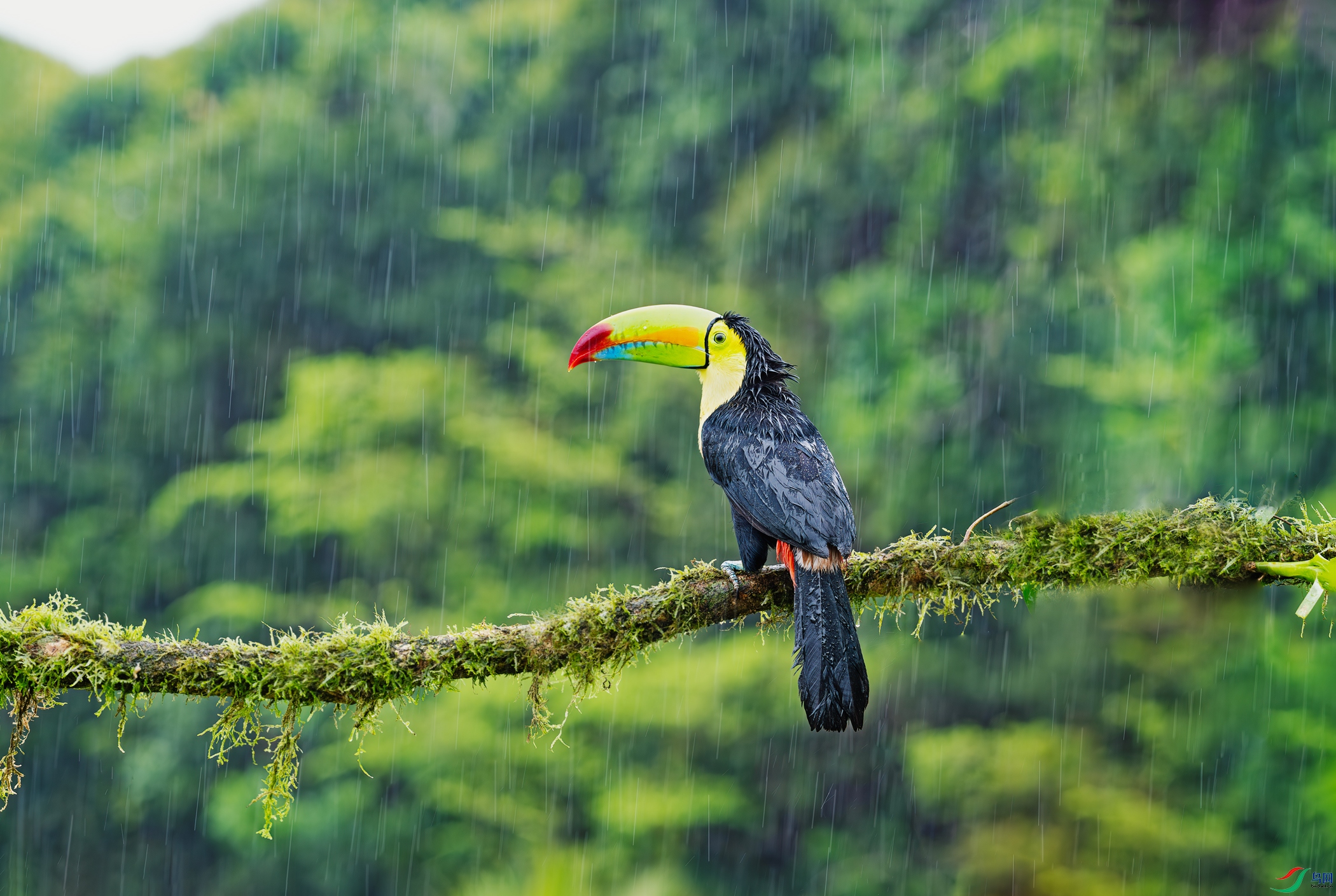 DSC_0513-1.jpg